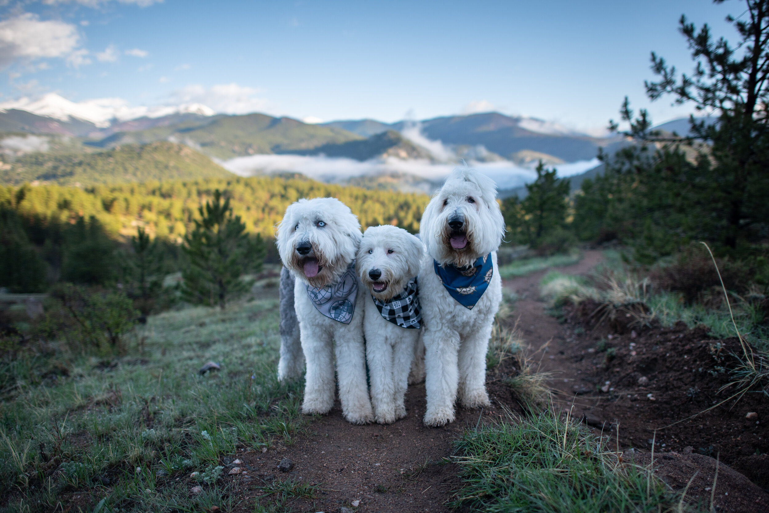 Hike #23 2021
