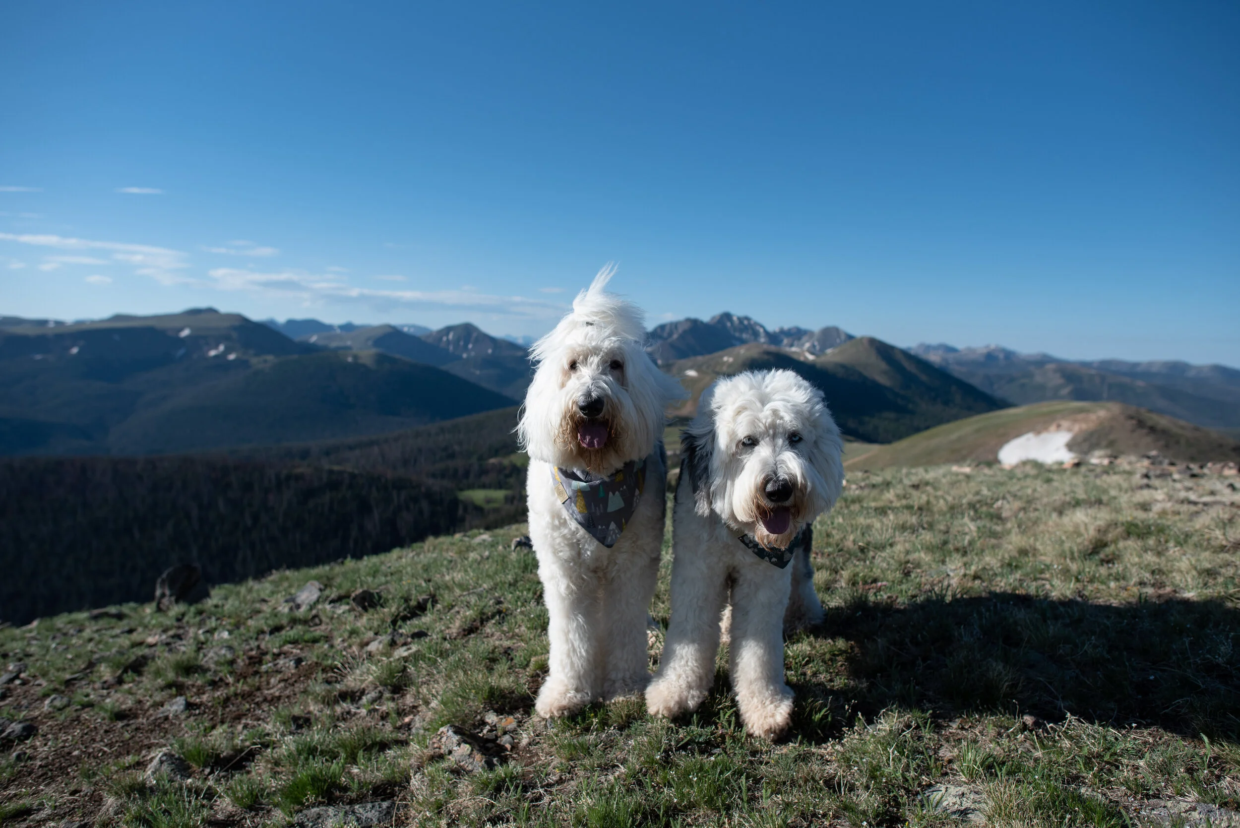 Hike #36 2021