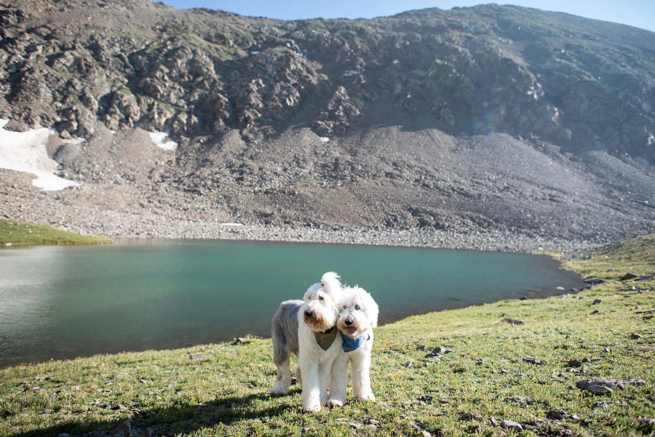 Hike #39 2021