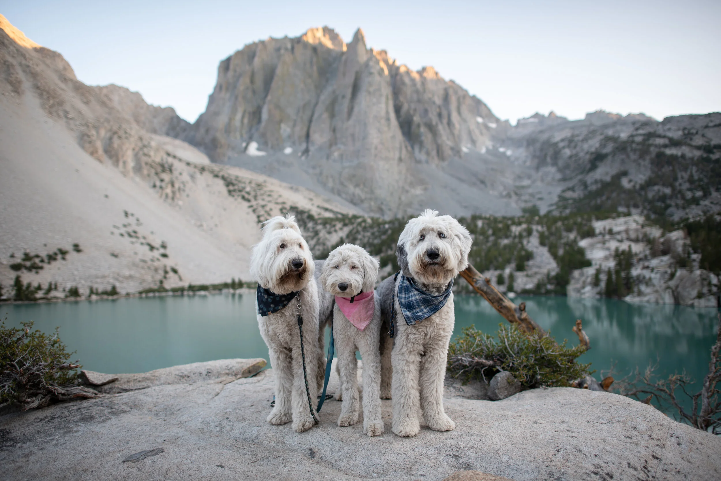 Backpacking Big Pine Lakes 