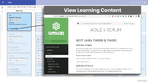 Animated GIF-downsized_large.gif