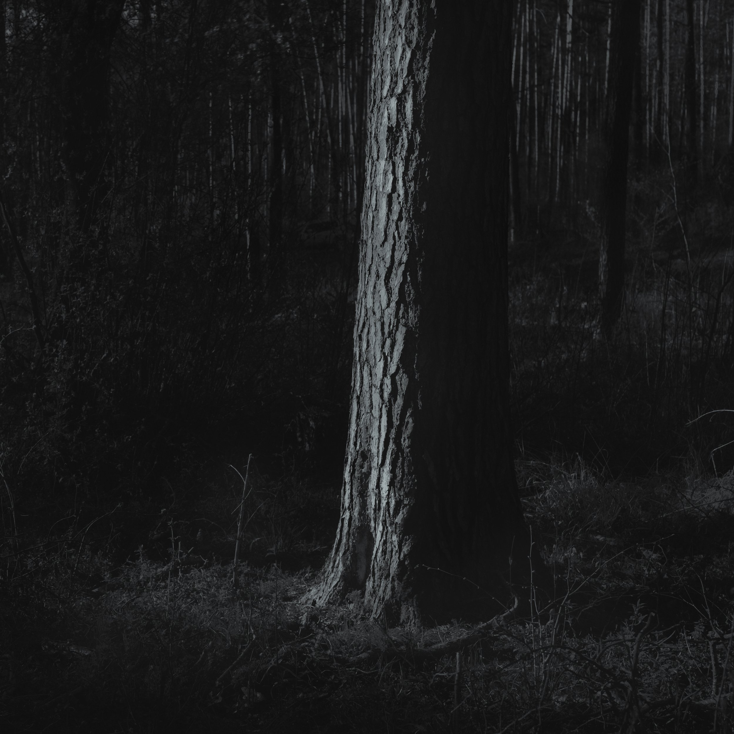 DSCF9178-Bearbeitet.jpg