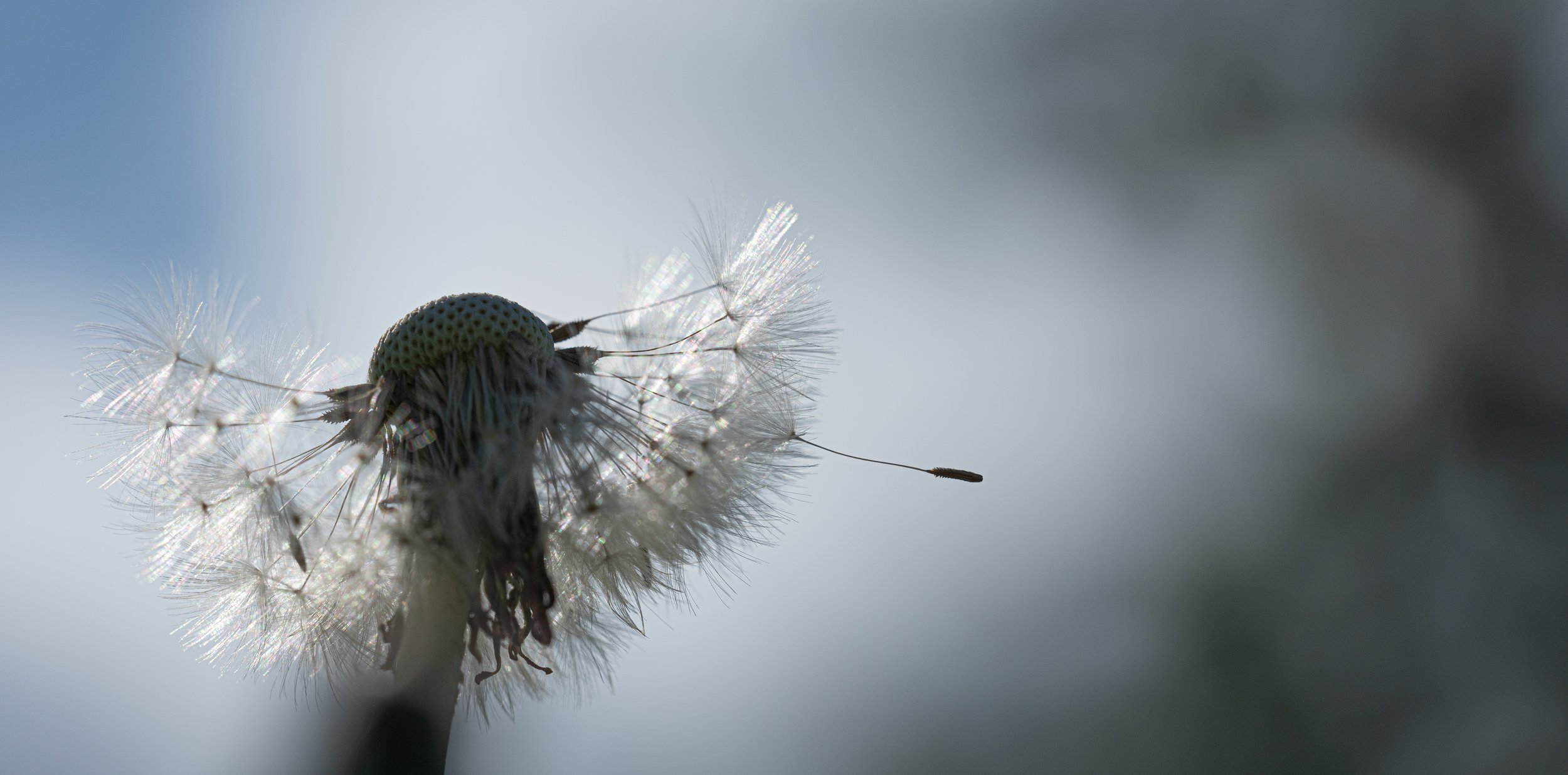 Elisabeth Jegel, jegelphotography