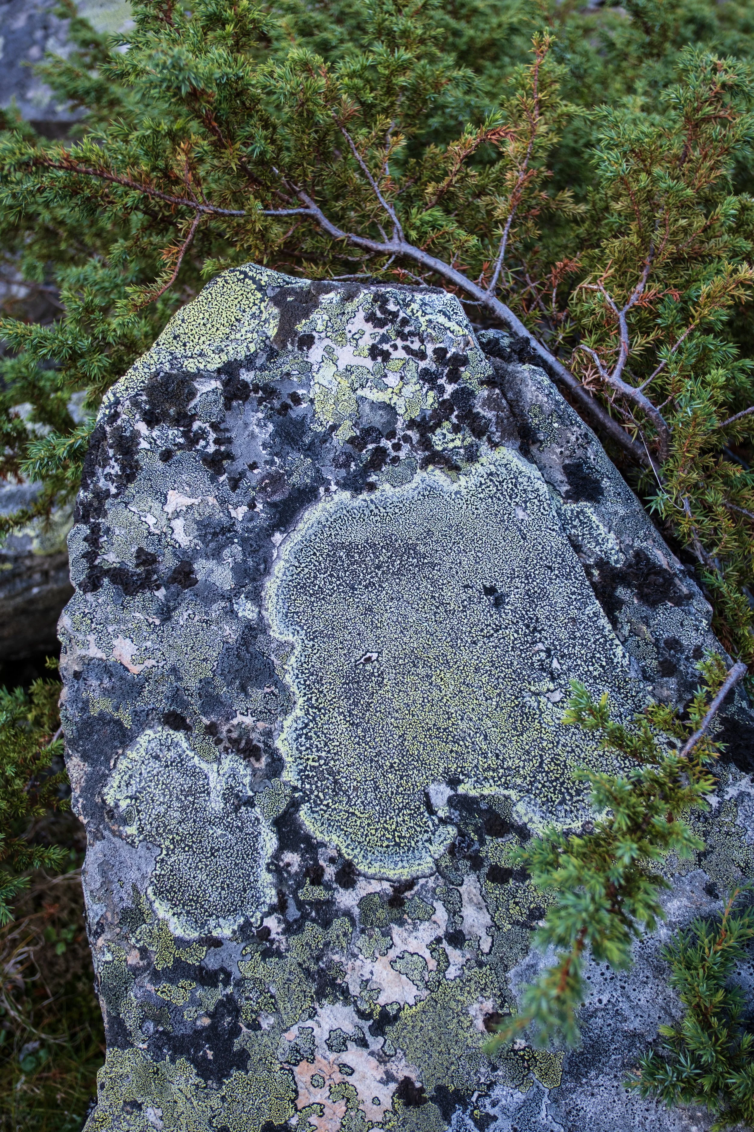 _DSF4027.jpg