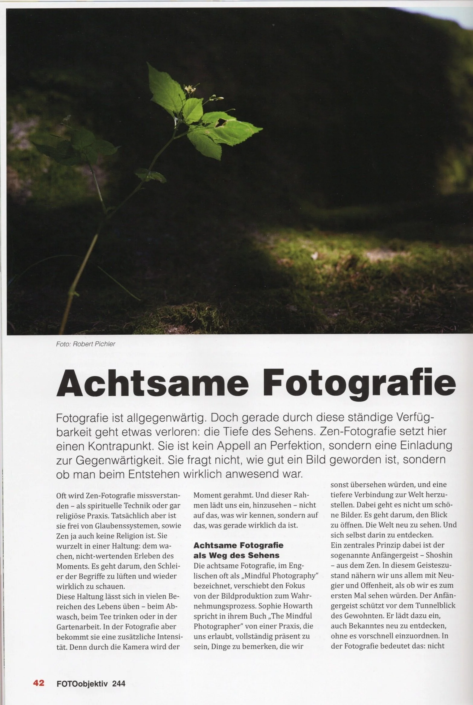 Fotoobjektiv Fachmagazin 