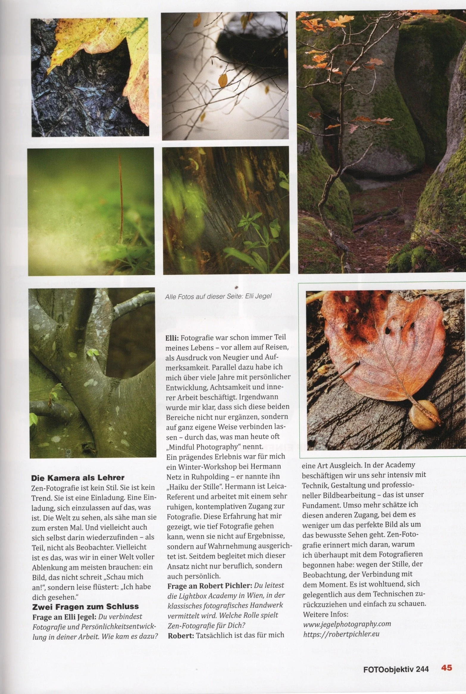 Fotoobjektiv Fachmagazin