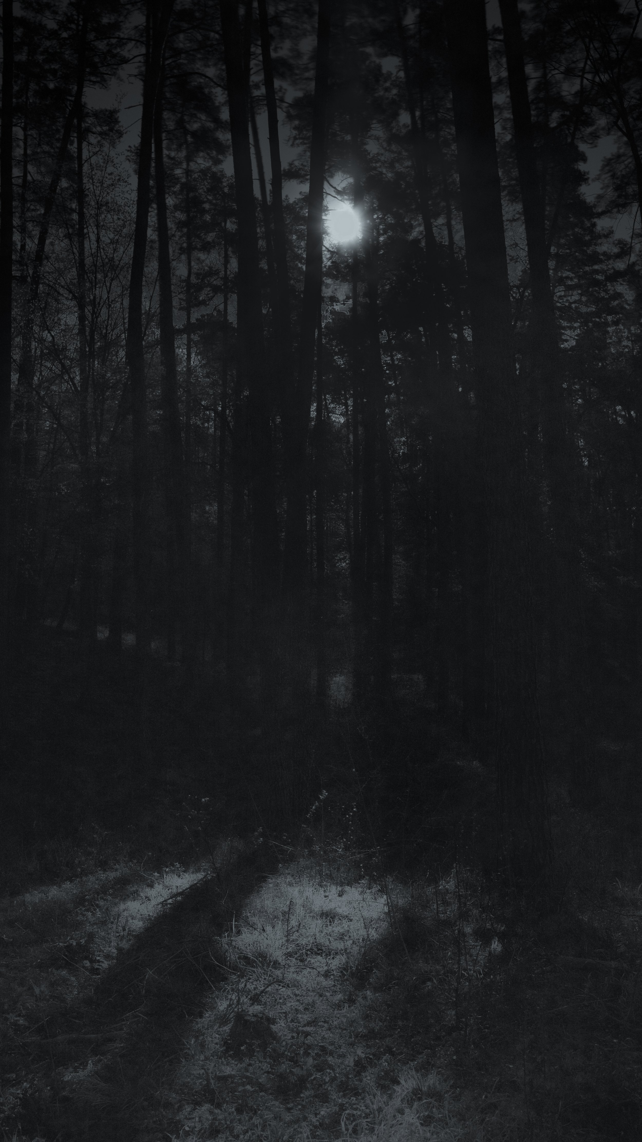 DSCF9171-Bearbeitet.jpg