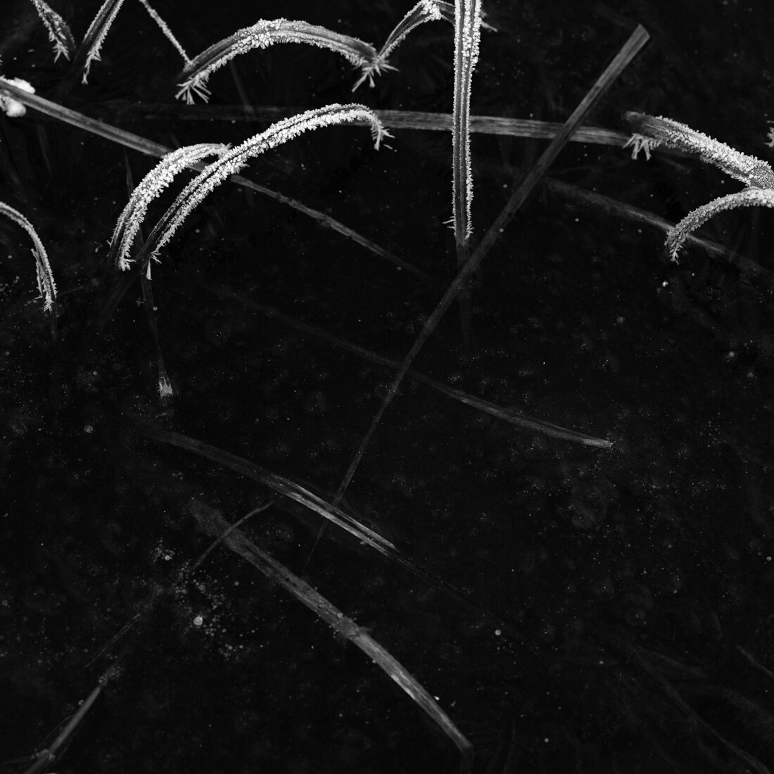 Honorabel Mention in Fine Art Category in 5th edition of Monovision Photography Awards 2021