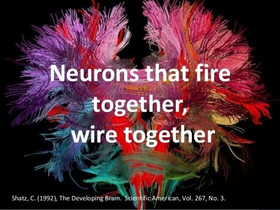 Neuroplasticity — Paradigm Psychiatry