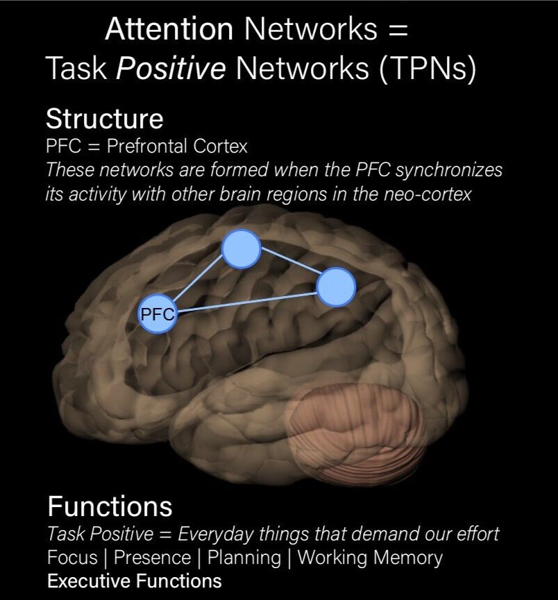 overvældende kant Plaske Brain Networks — Paradigm Psychiatry