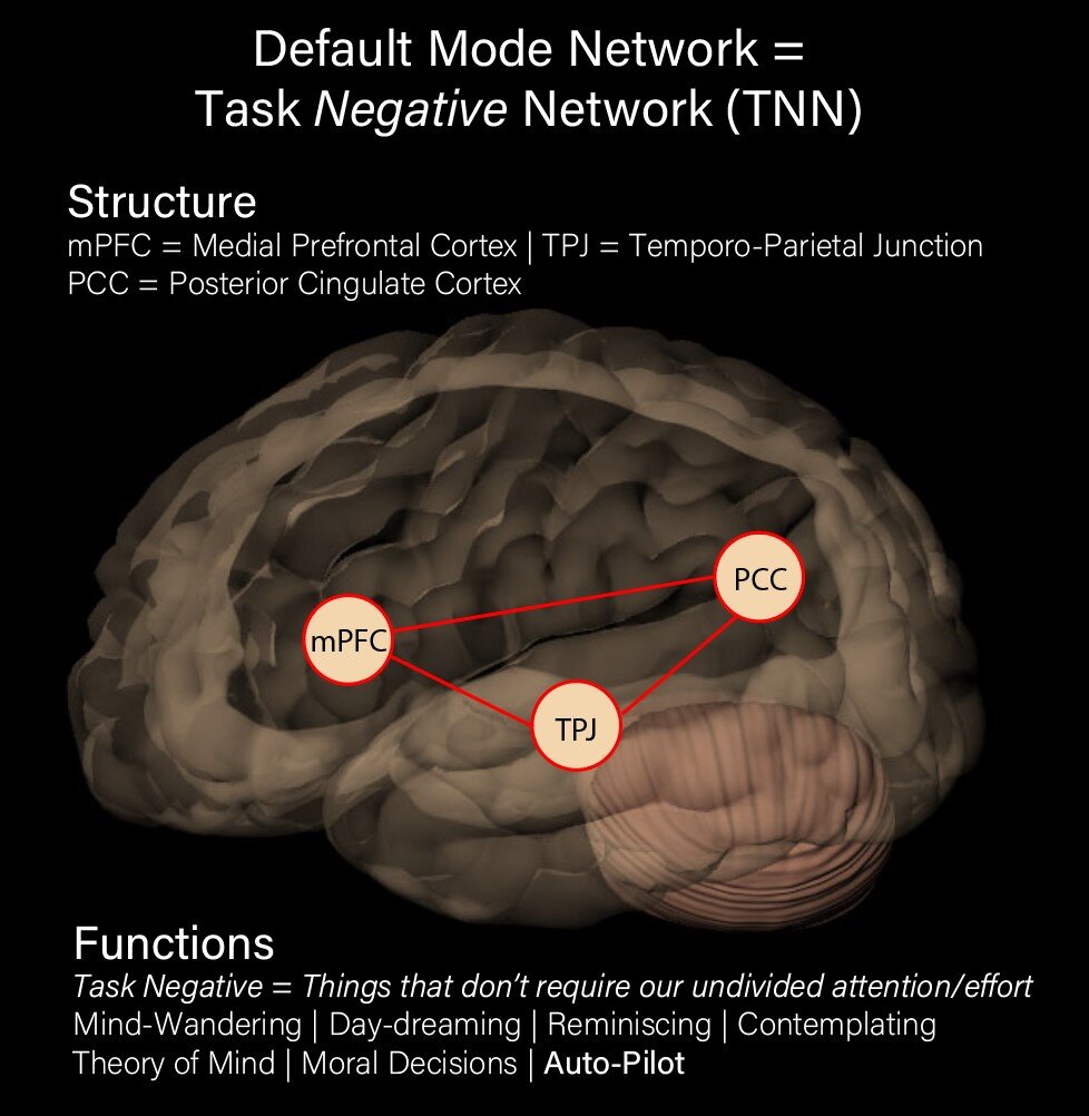 Default Mode Network.jpg