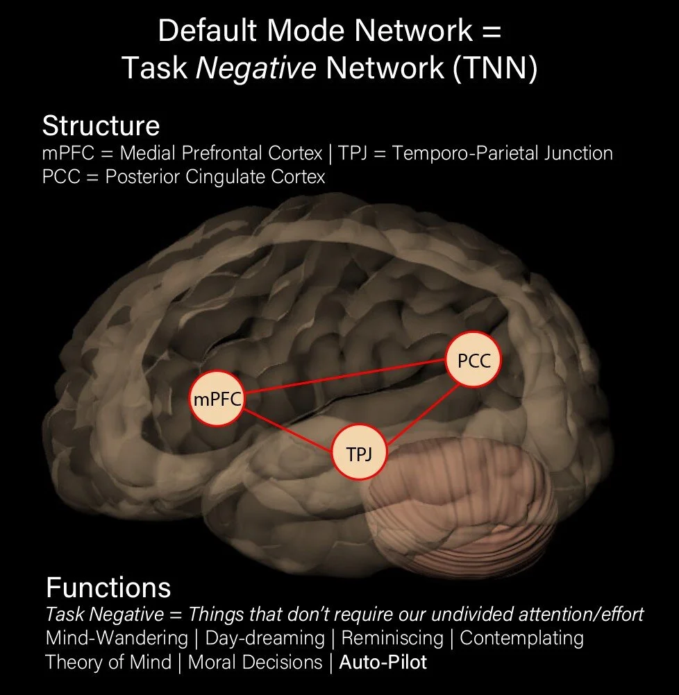 Attention Brain Networks Attention Brain Networks