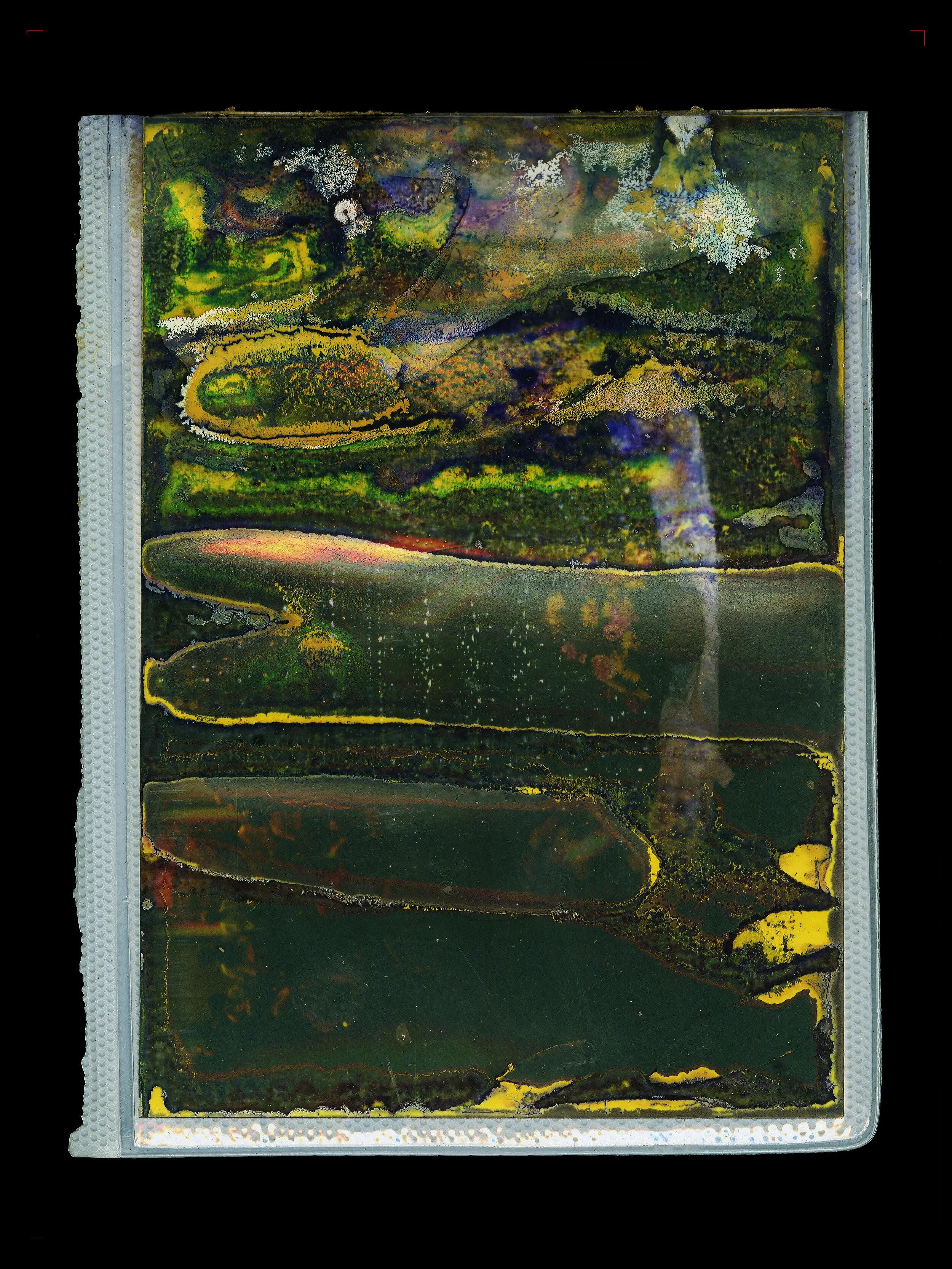 Legacy Series, digital c-print, 40 x 30 inches, 2016