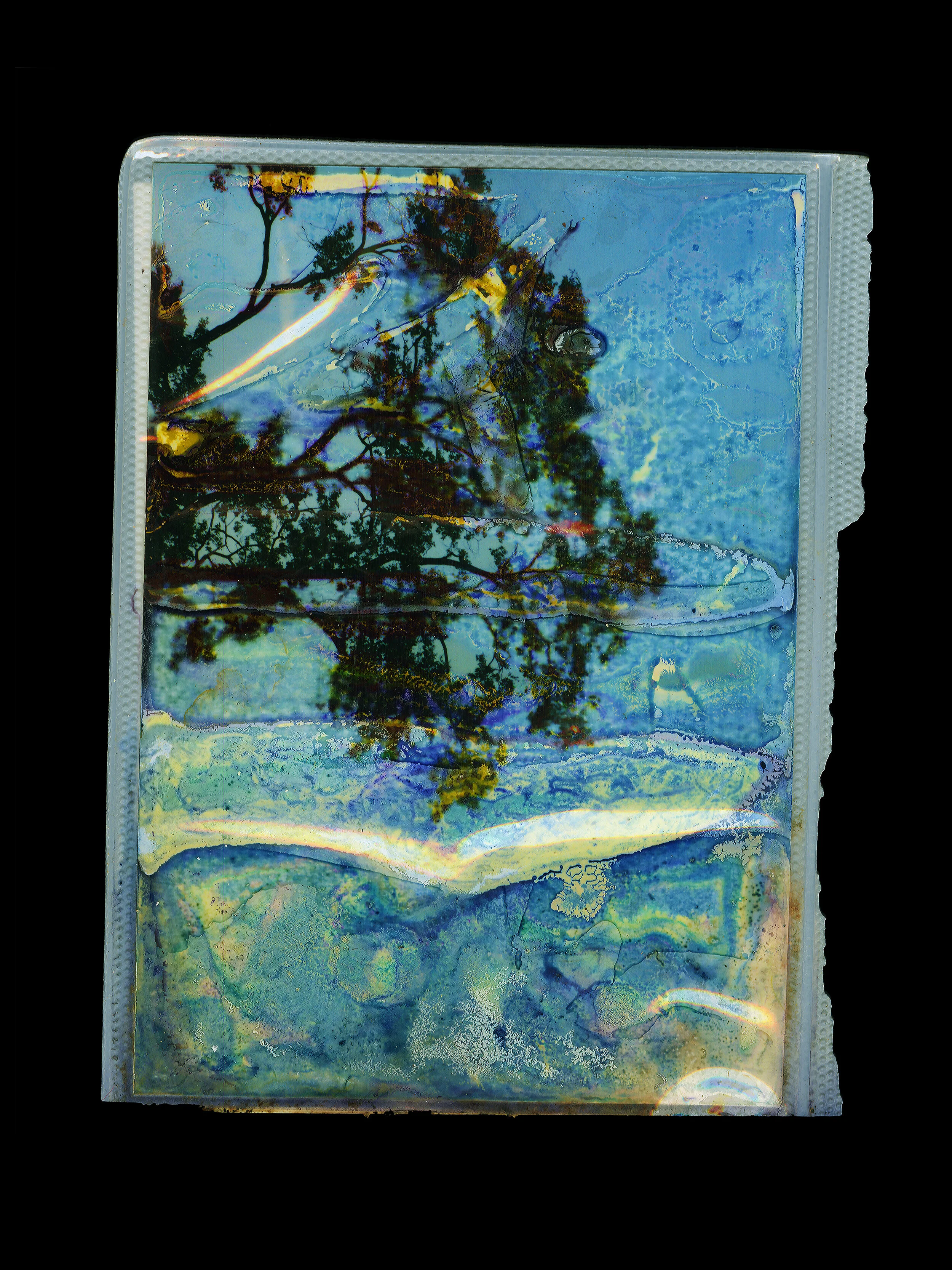 Legacy Series, digital c-print, 40 x 30 inches, 2016