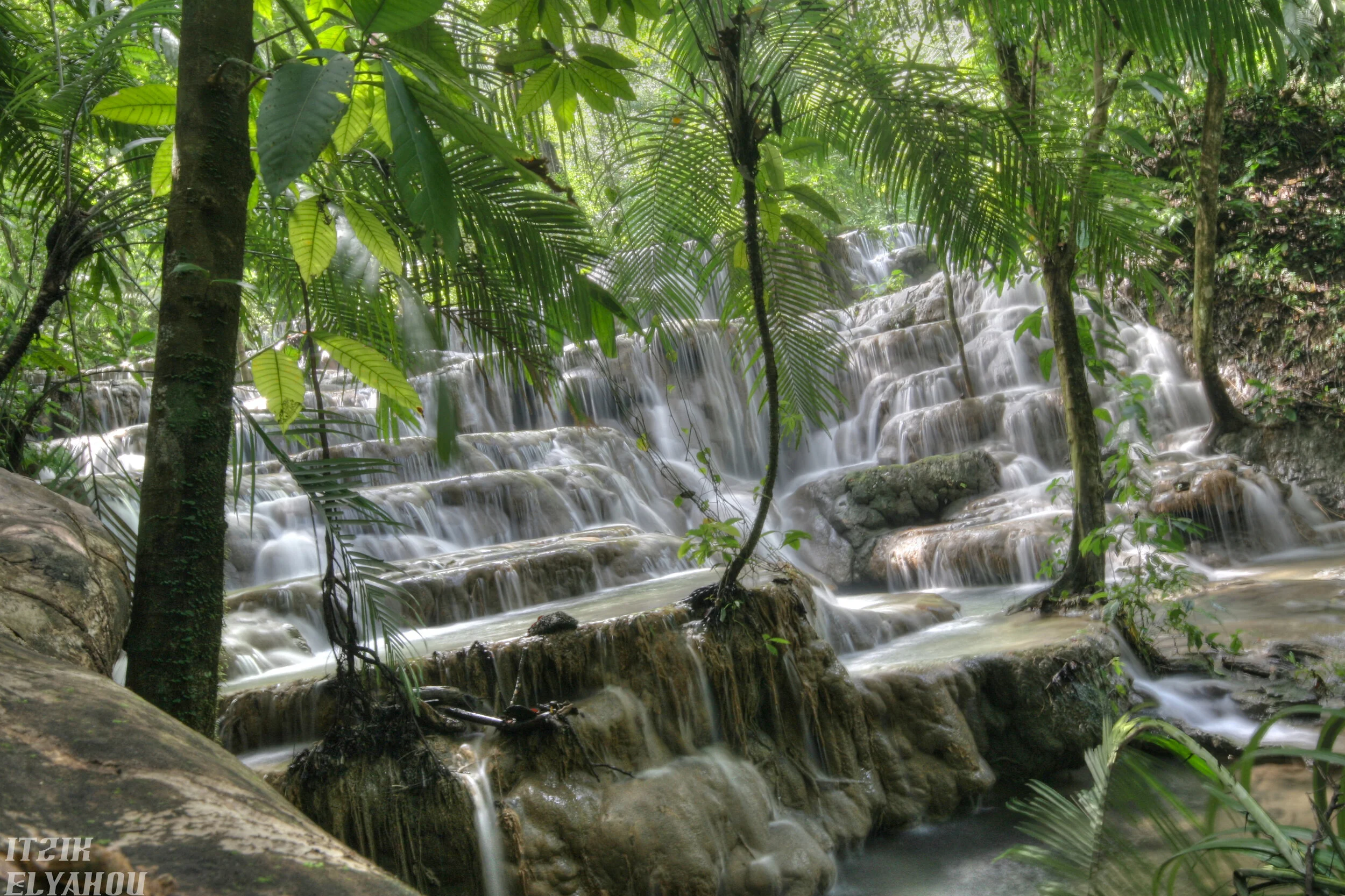 IMG_6930_1_2_tonemapped.jpg