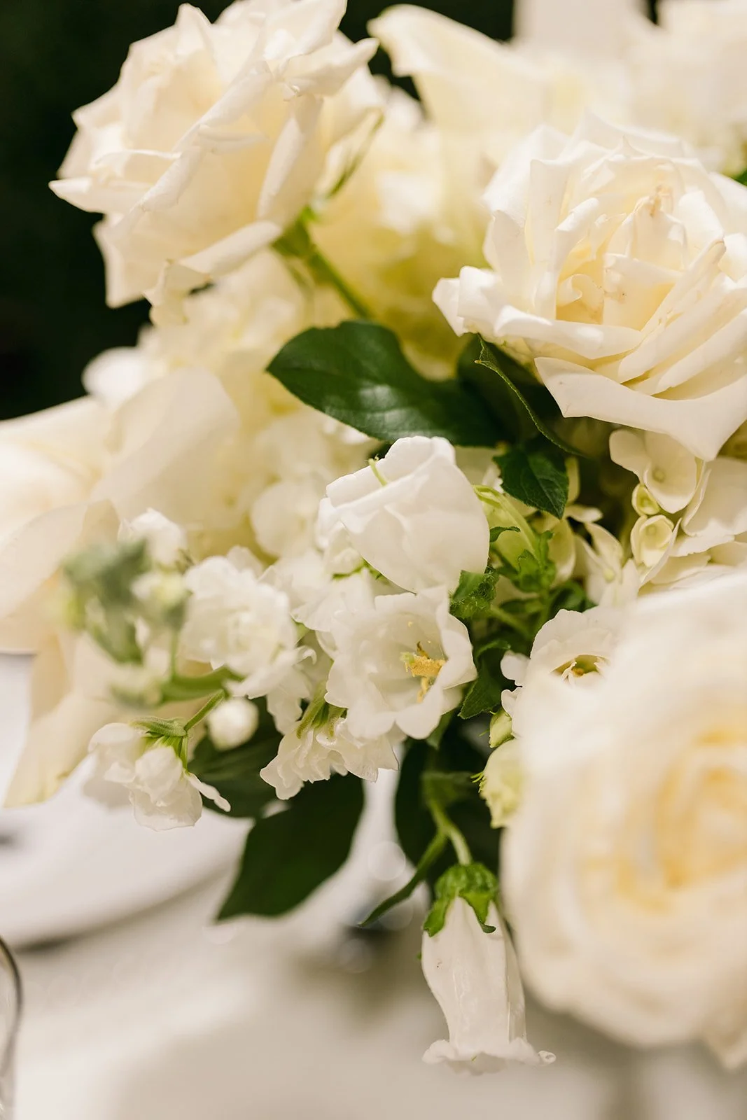 Details-151.jpg