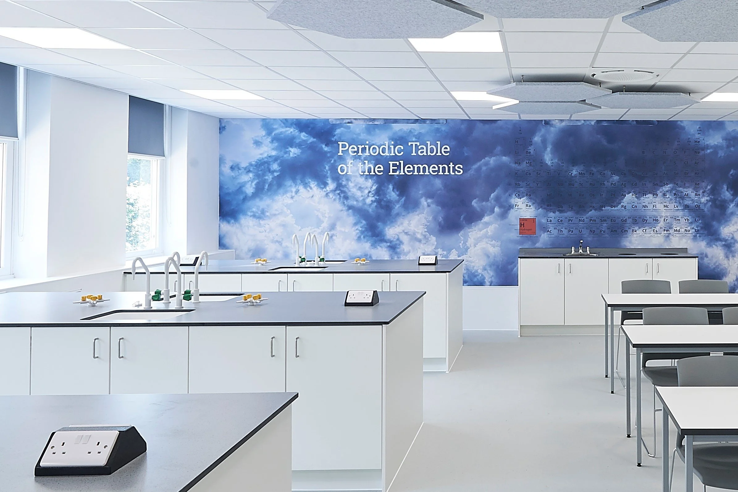 NIK_0002 cropped.jpg