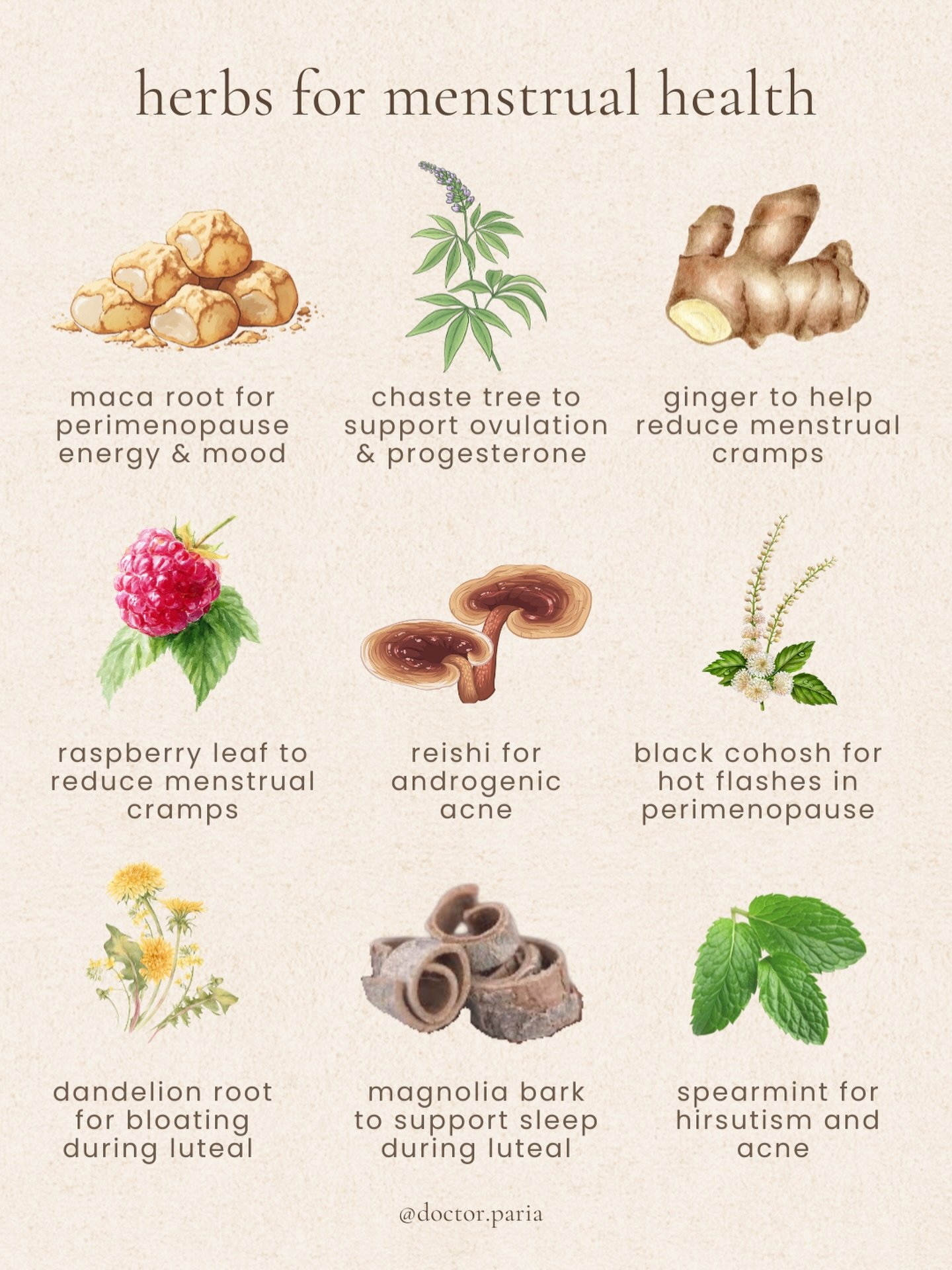 a (over simplified) guide for commonly used herbs in women&rsquo;s health!

I love sharing about the herbs - but please remember that herbs should be treated like medicine! they are very particular actions and it&rsquo;s important to make sure that a