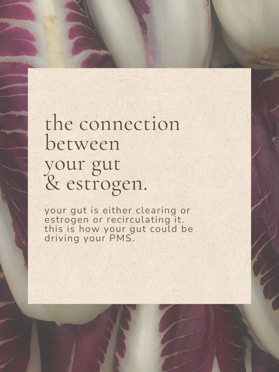 the gut 🤝🏻 hormone connection #estrobolome #gutmicrobiome #guthealthy #estrogendominance #hormonalhealth