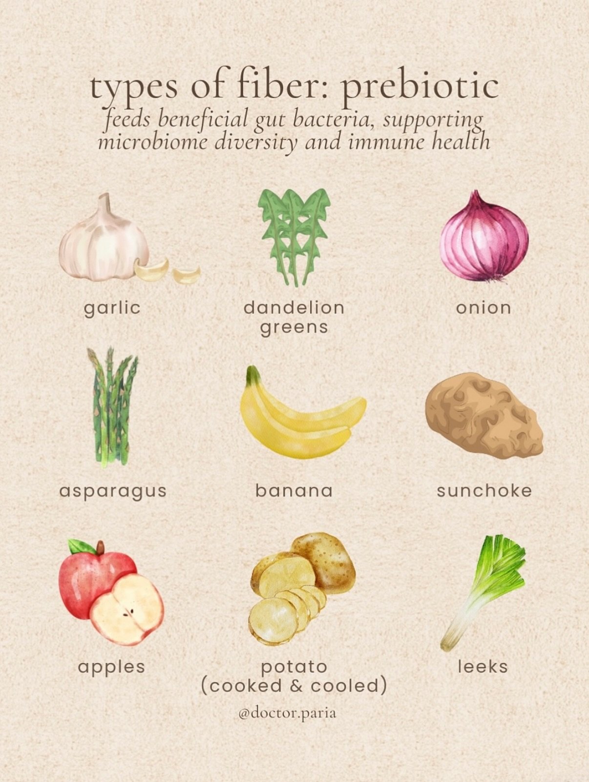 the different types of fiber and their benefits! i usually recommend getting a combo of different types in, at least 30g daily! #fiber #prebiotics #prebiotic #guthealthy #guthealthtips
