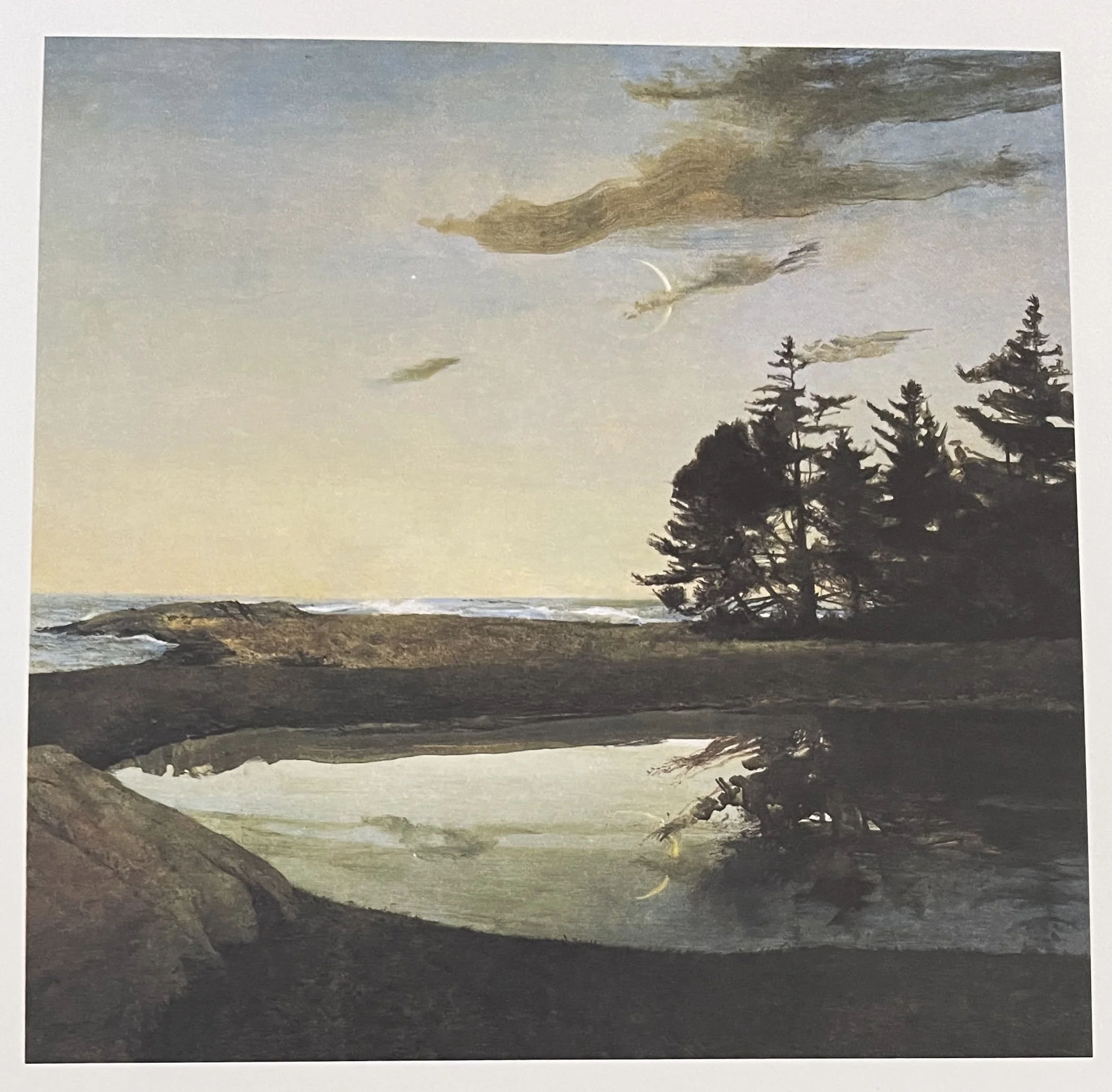 Store 1 — N.C. Wyeth Foundation