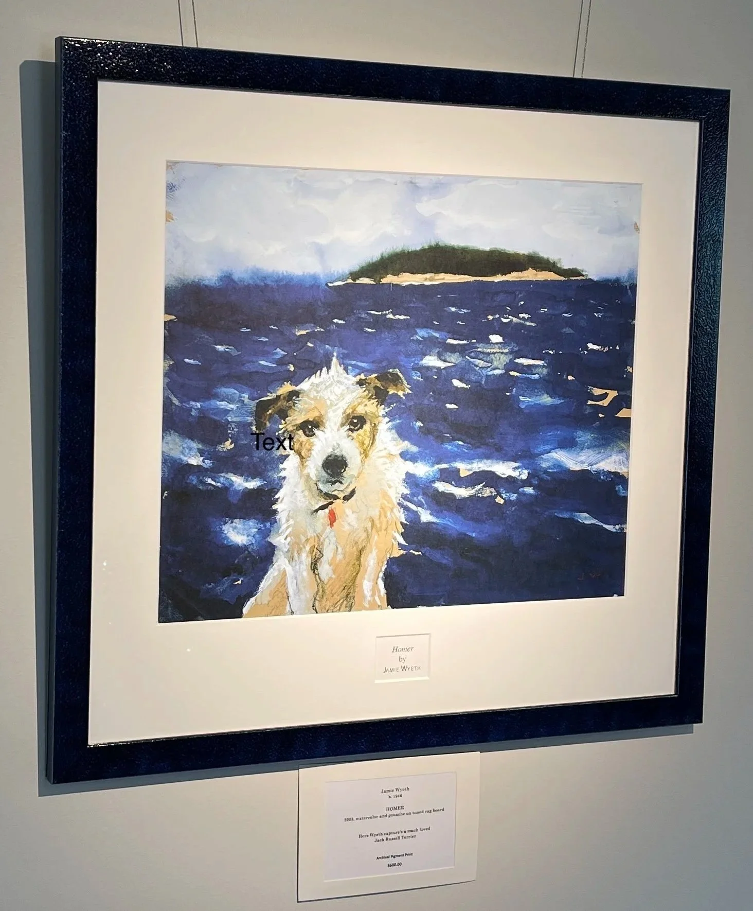 Jamie Wyeth - HOMER - 2003 - 
Framed Archival Pigment Reproduction - $600.00