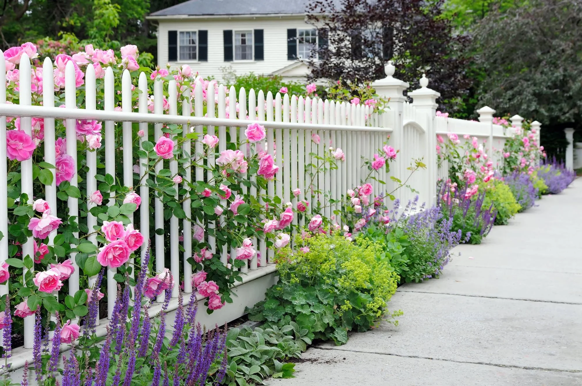 Easy Curb Appeal Ideas to Tackle Before You List