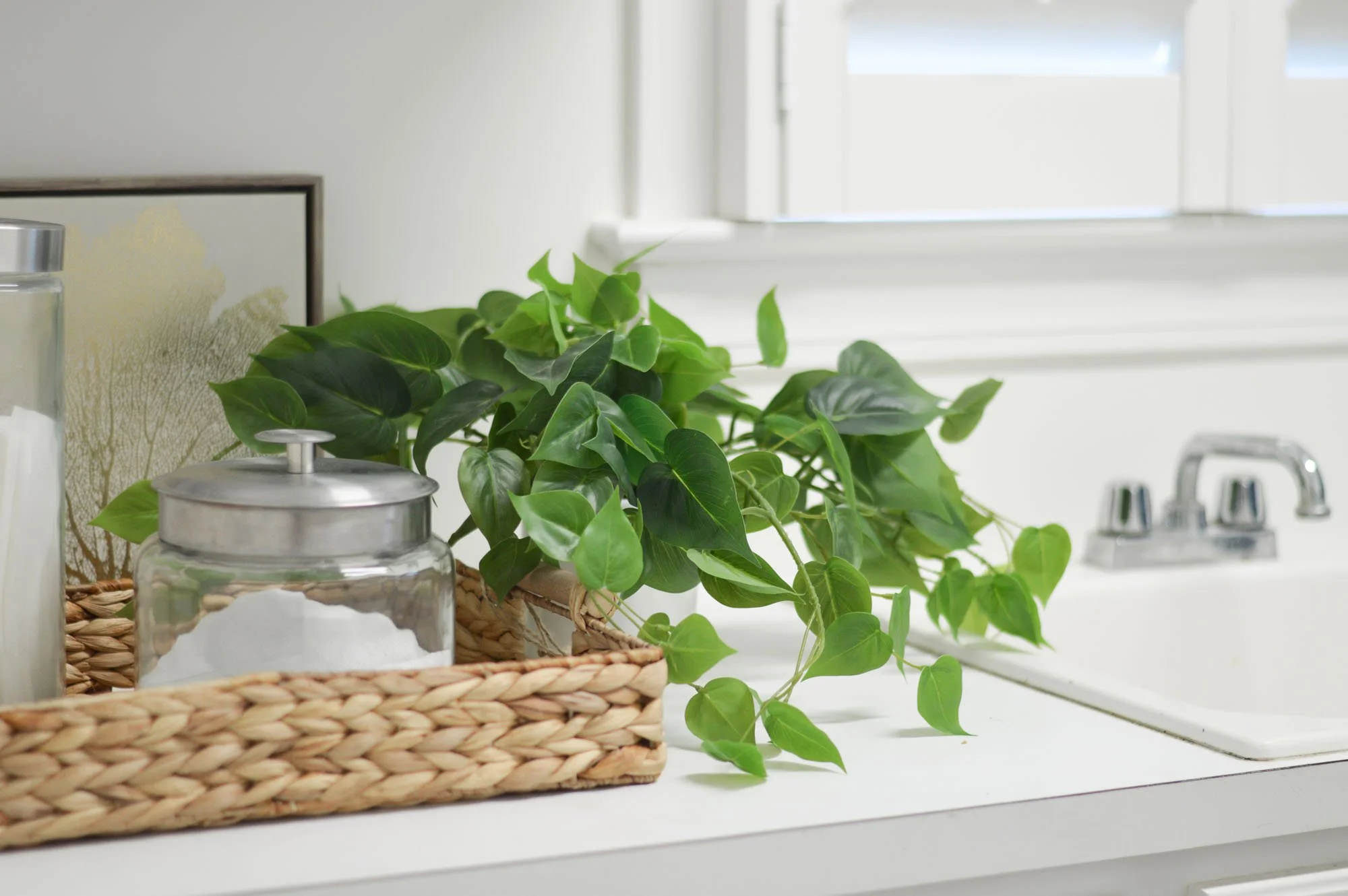 laundry detergent and plant in basket
