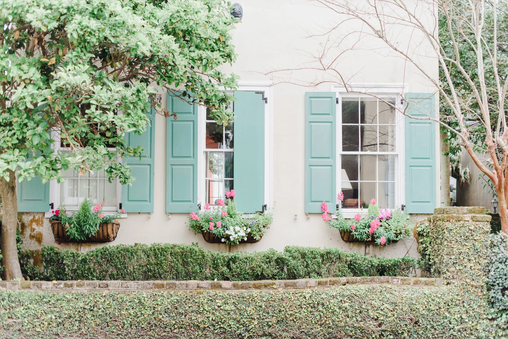 beautiful charleston home with window boxes