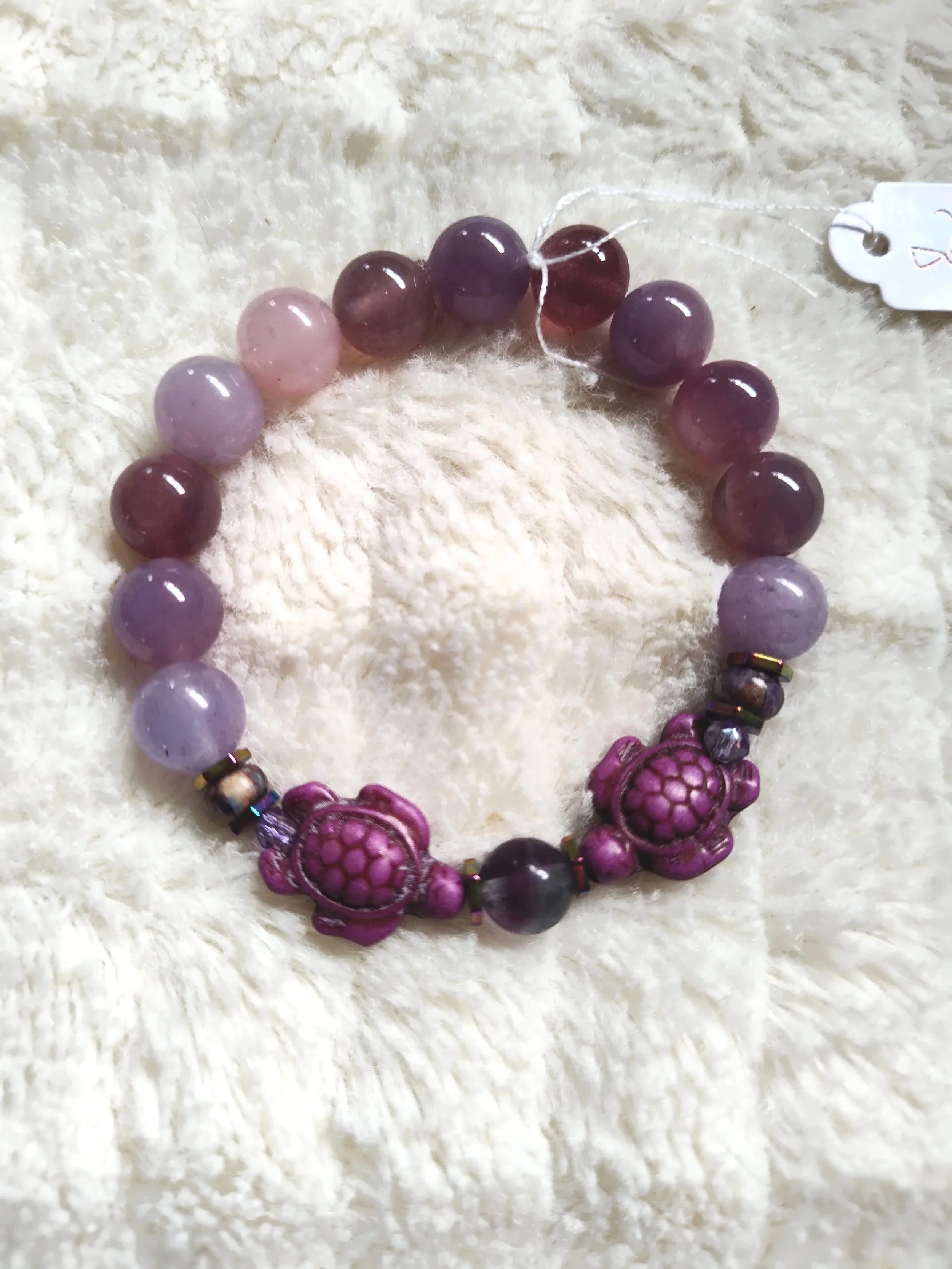 purple+turtles.jpg