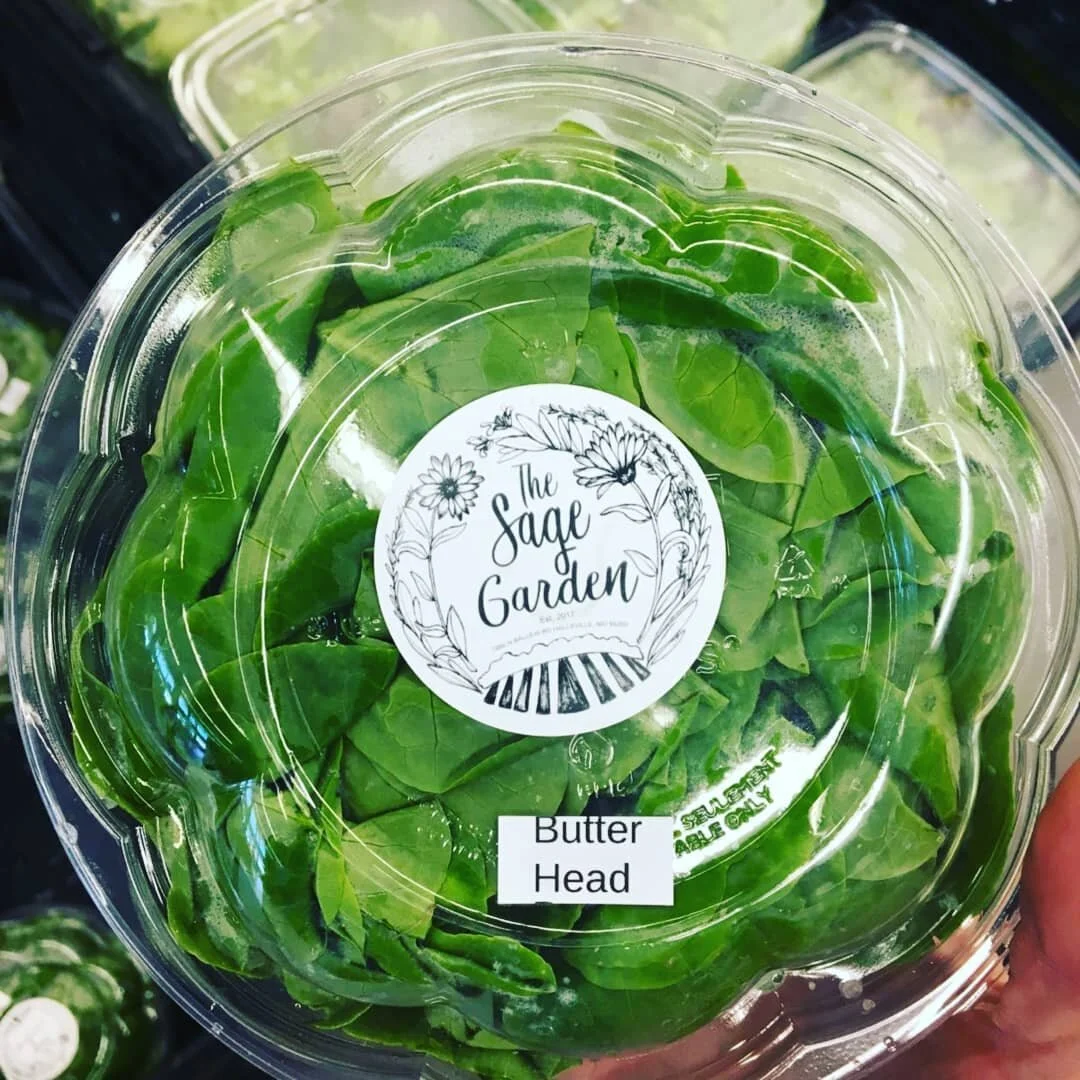 NEW PRODUCT on the shelf @cloversnaturalmarket and @hyveecolumbia Conley and Rockbridge locations. ***Salanova Butter Head Lettuce*** Such a tasty, crisp, smooth lettuce. Great for salads and sandwiches. 
#thesagegardencomo #hyvee #shoplocal