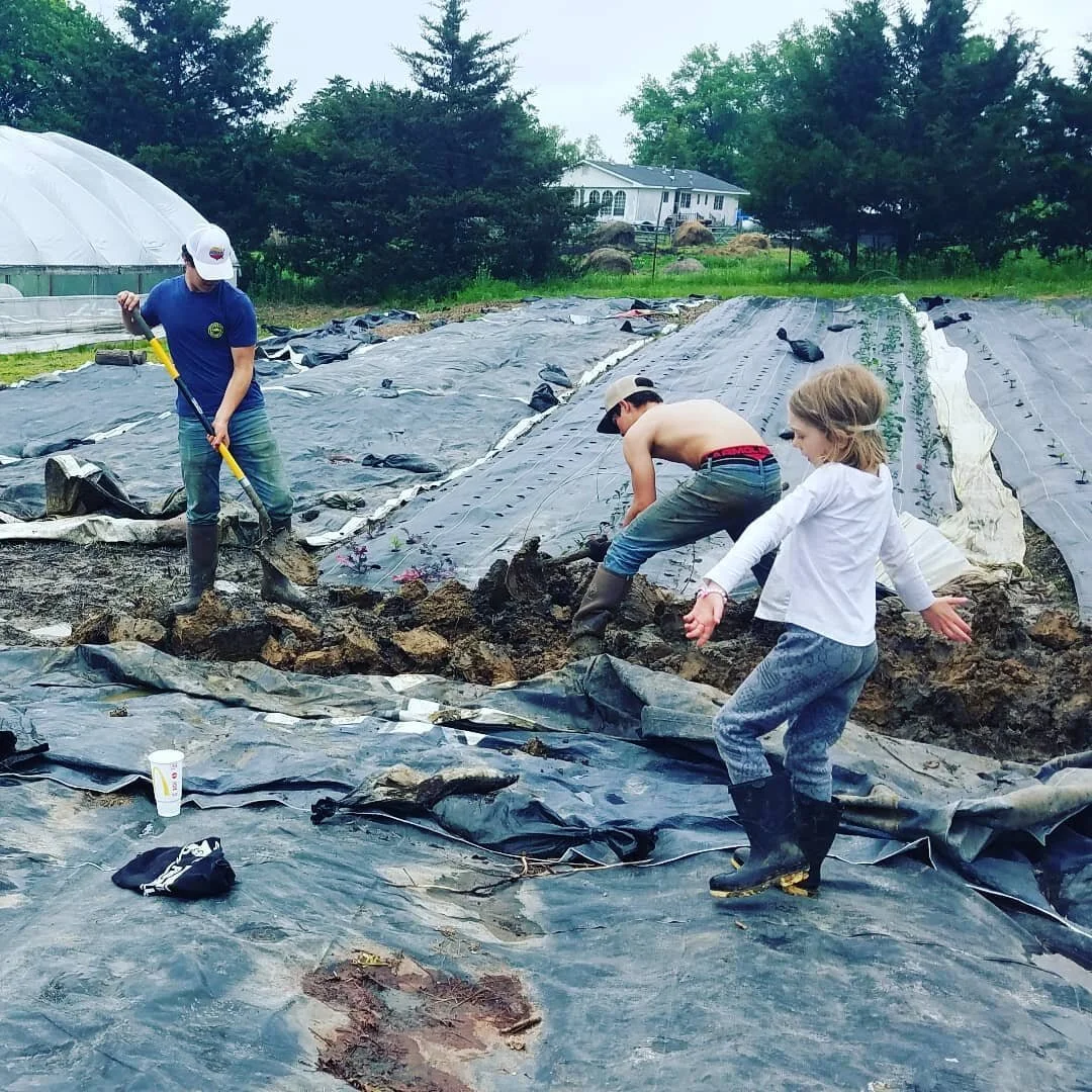 Around here quality is of the upmost importance. That's why we have a 24 hour 7 day a week quality control supervisor...Amelia. Here she is in full form letting her cousins know exactly how wide the ditch needs to be for proper drainage. 🤣 If ever i