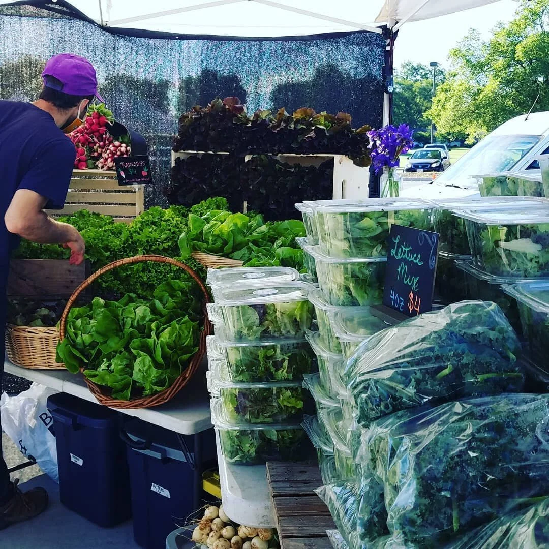 Another BEAUTIFUL Saturday morning @columbiafarmersmarket 💚💚💚 We are LOADED with greens! 
Two weeks until our next round of CSA starts. Be sure to SIGN UP TODAY!👩&zwj;🌾 #thesagegardencomo #columbiafarmersmarket #local