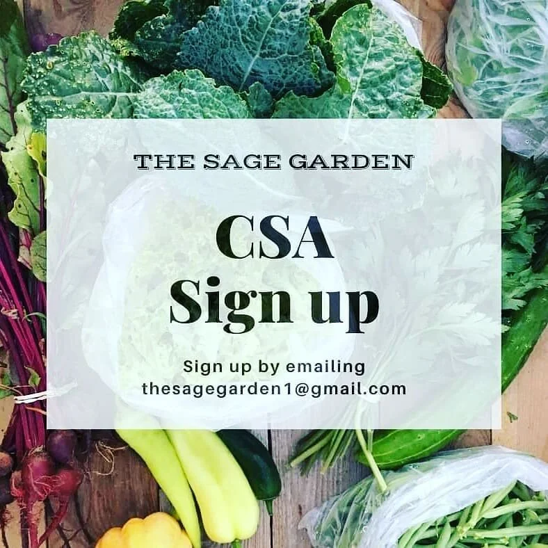 FRESH, LOCAL PRODUCE DELIVERED TO YOUR DOORSTEP

Now offering a 12 week Greens &amp; Micro CSA share. *****LIMITED TO 75 MEMBERS**** SIGN UP HERE:
https://forms.gle/4aivov3ndzVqsPiz9

Starts June 12th.

3 levels to choose from:
$20/week for 1-2 peopl