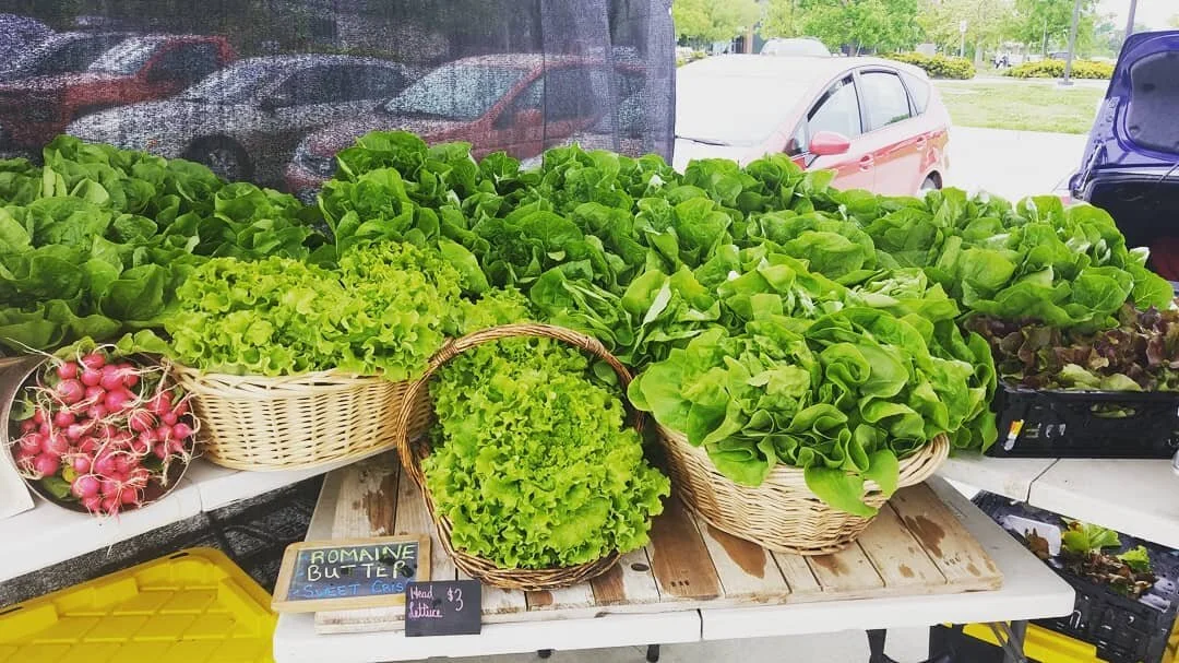 We are set up and selling early! Come and see us today @columbiafarmersmarket 8am to noon!

#thesagegardencomo #columbiafarmersmarket