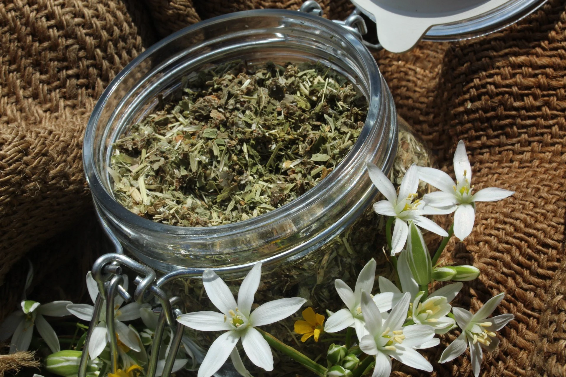 Earthly Essence Tea Blend