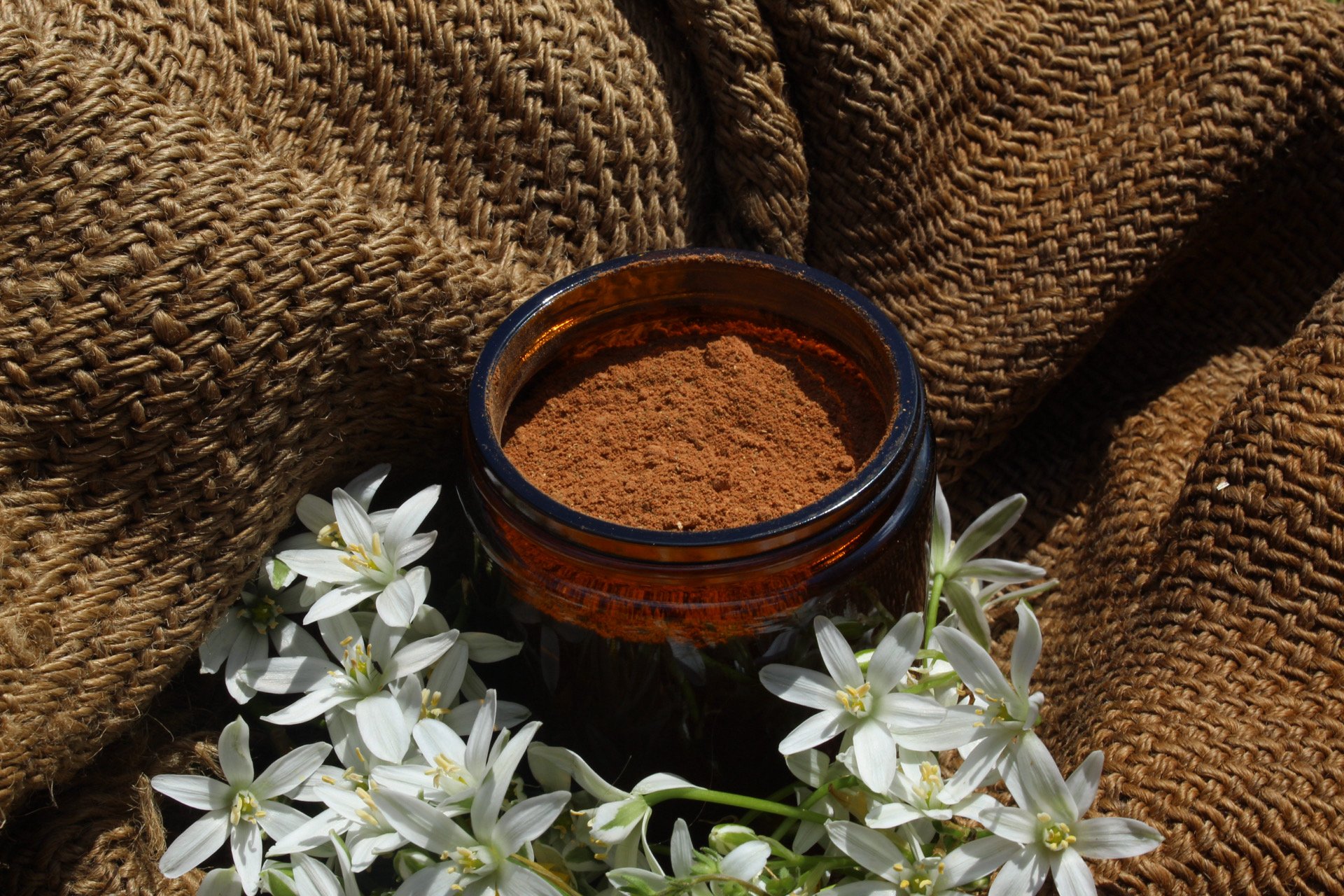 Shroom Hot Chocolate