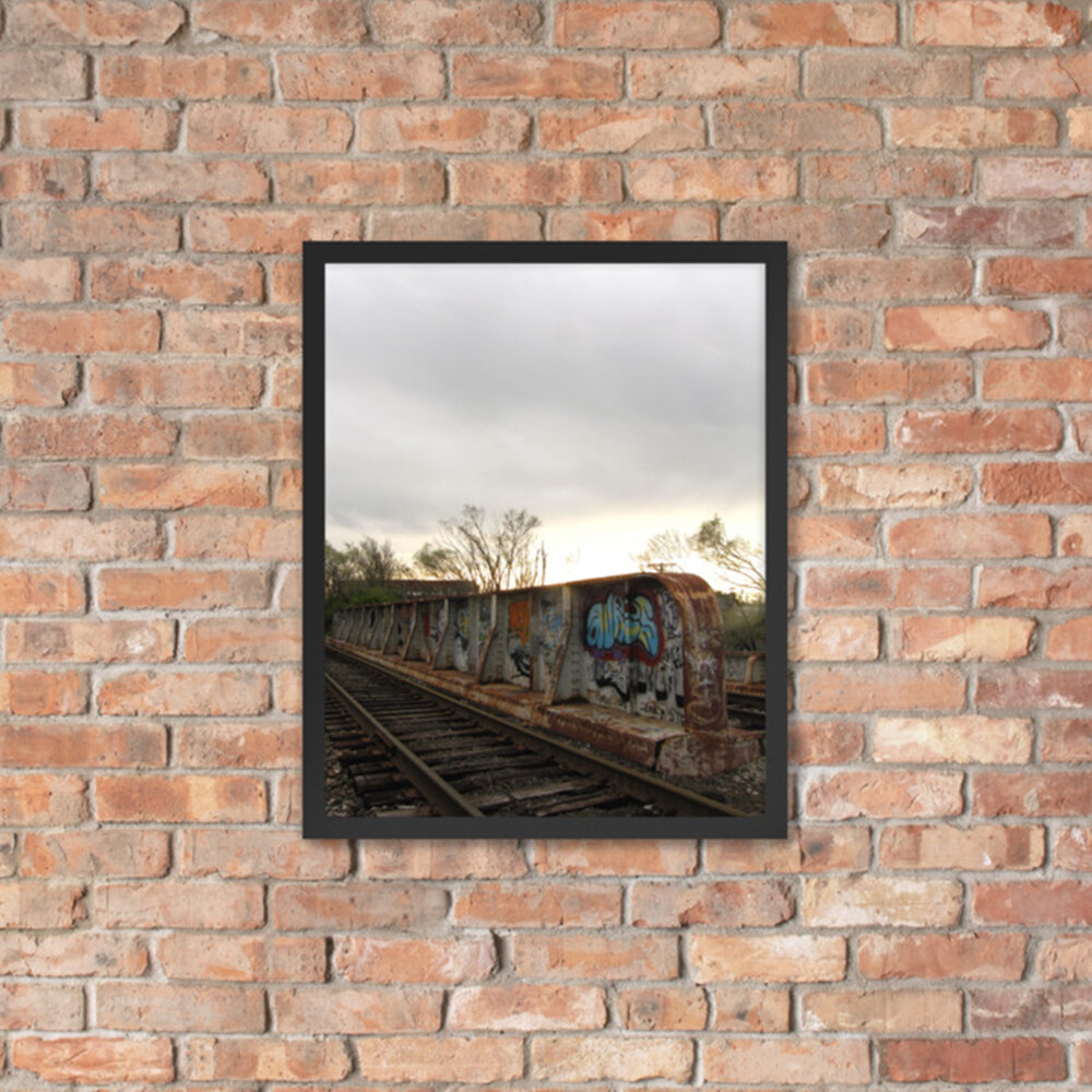 00021_GraffitiRailyard_FRAMEDPOSTER_PRINTFUL_16X20_image05.jpg