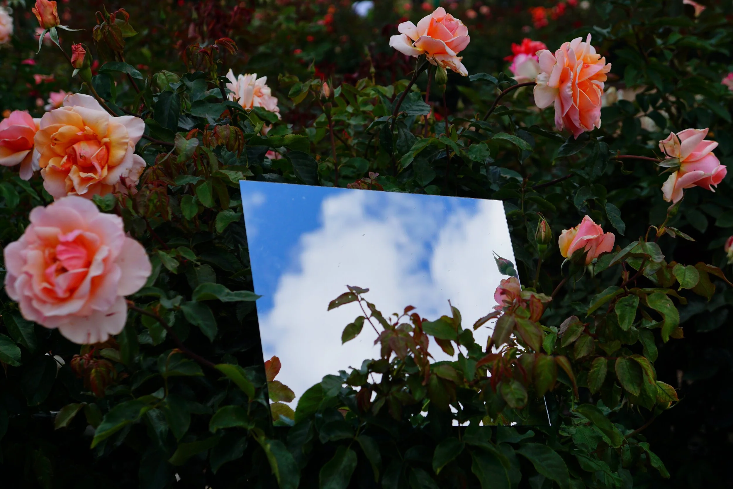 file-6000x4000-000262.jpg