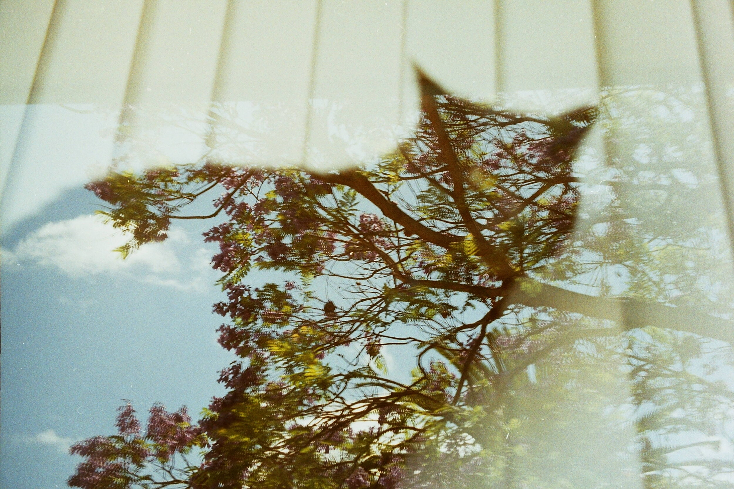 PICT0119.JPG