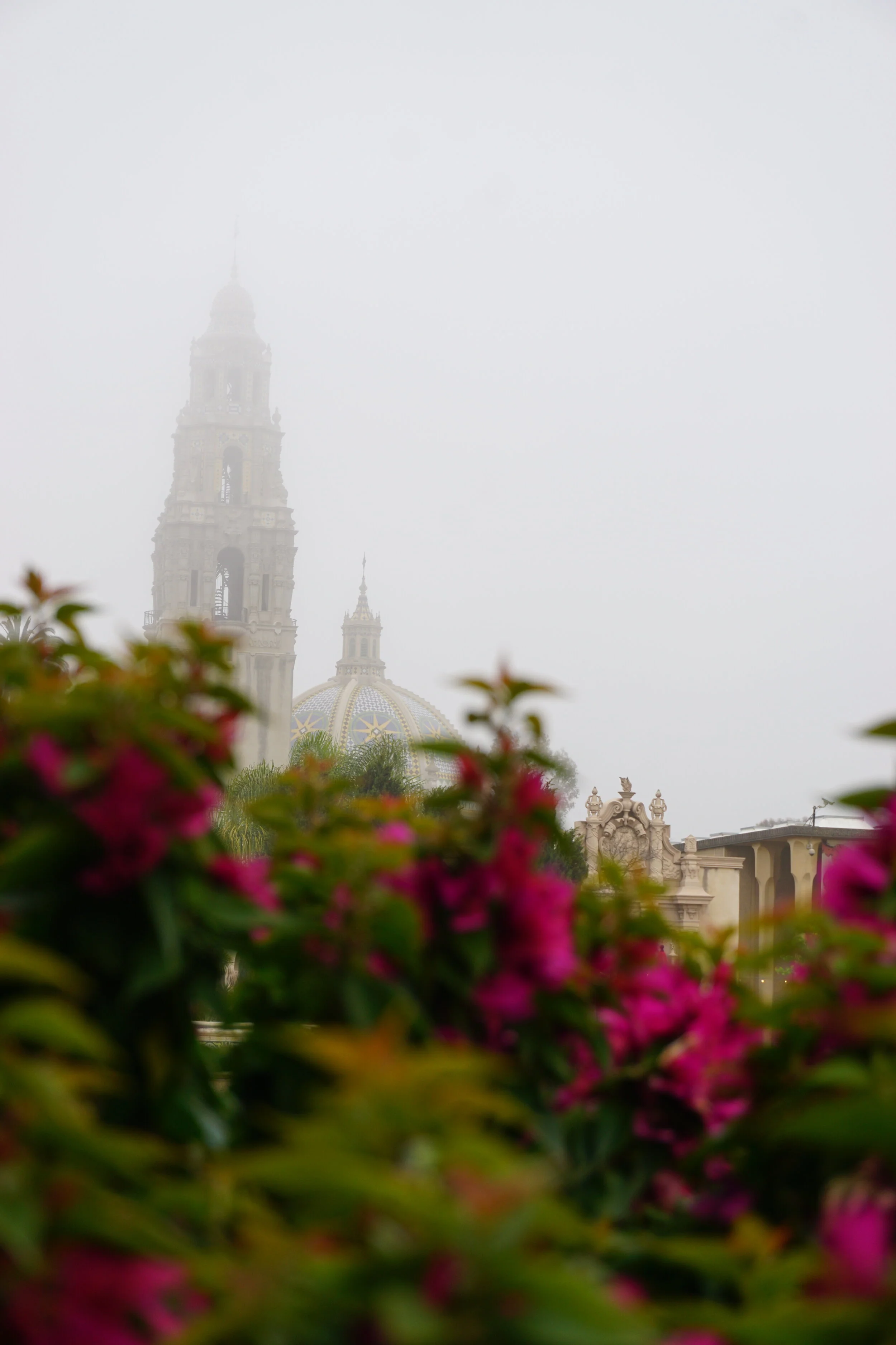 DSC08534.JPG