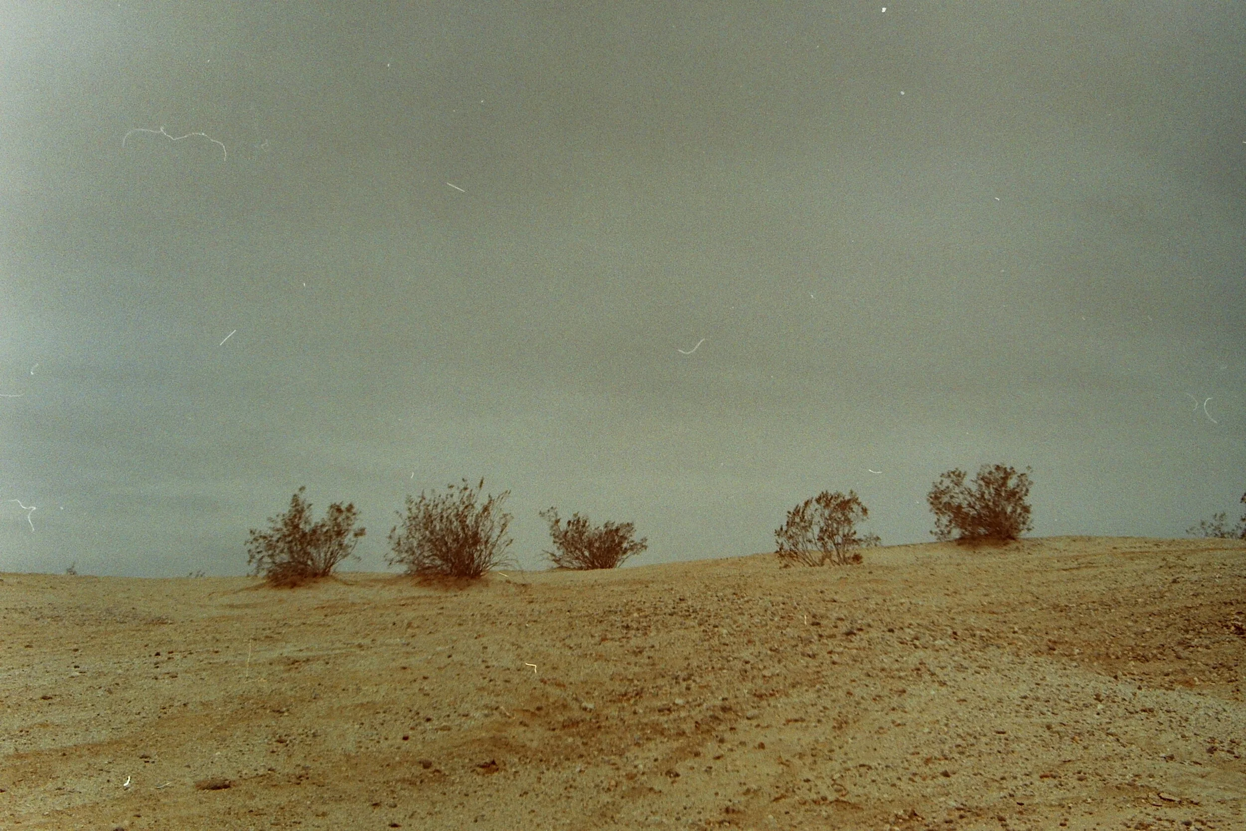 PICT0018.JPG