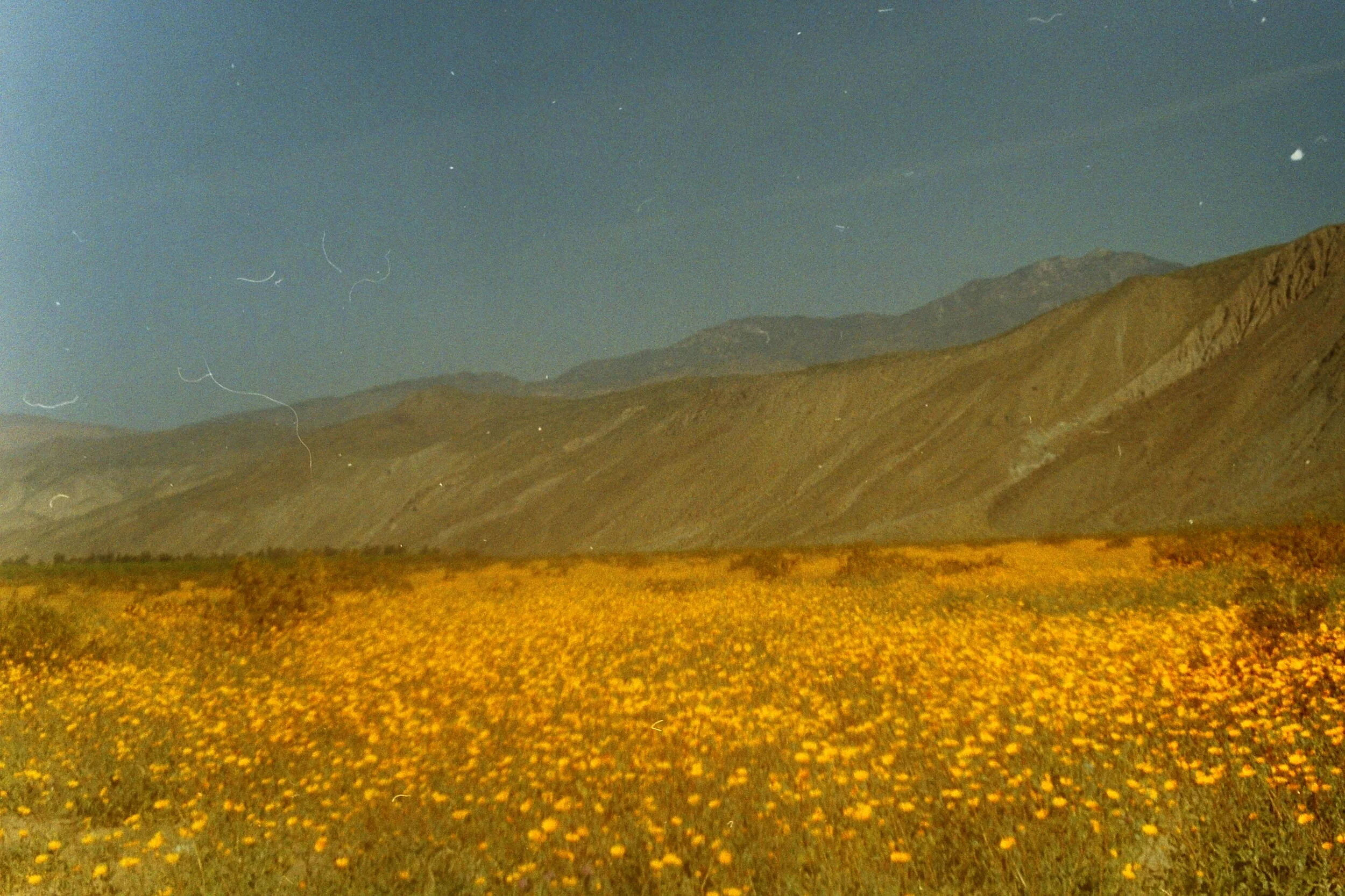 PICT0045.JPG