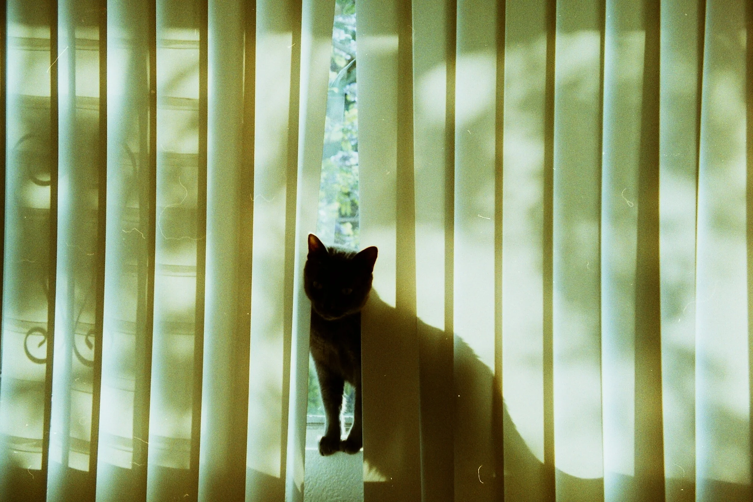 PICT0123.JPG