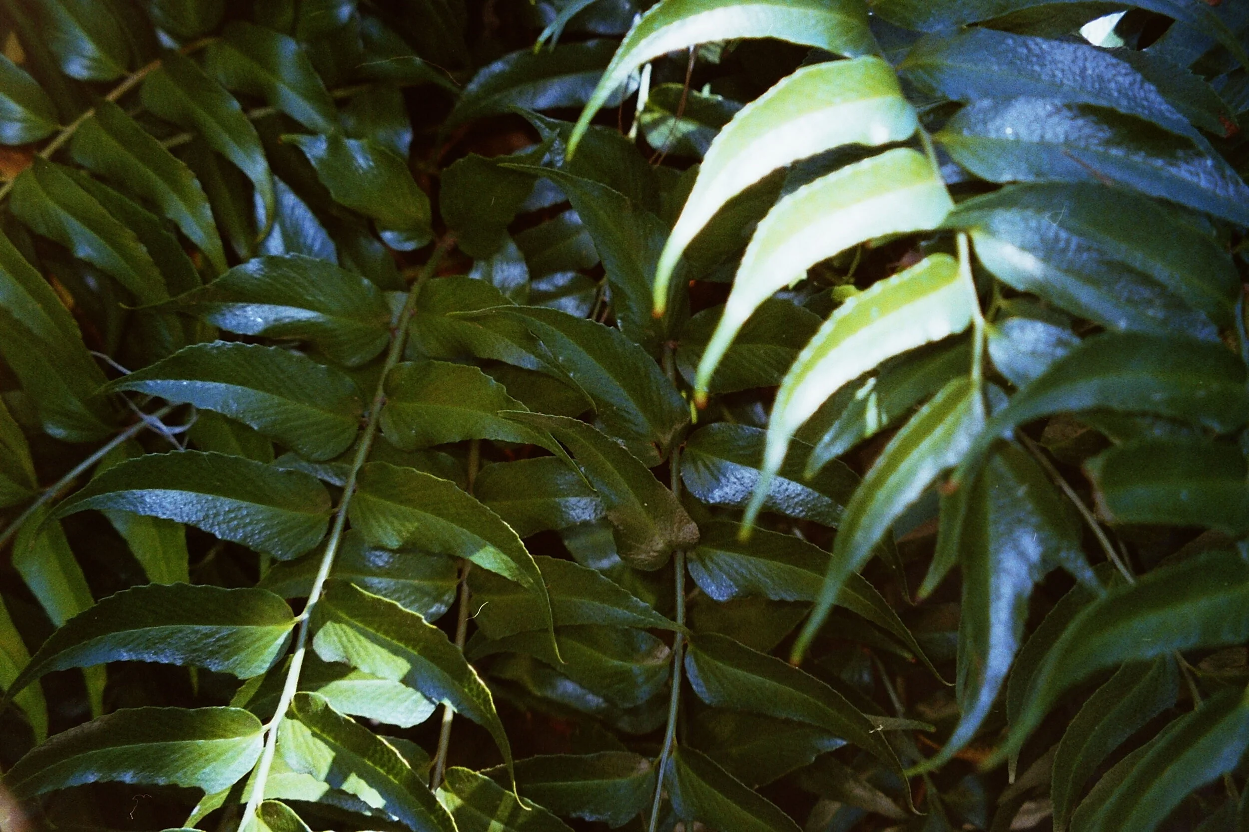 PICT0063.JPG