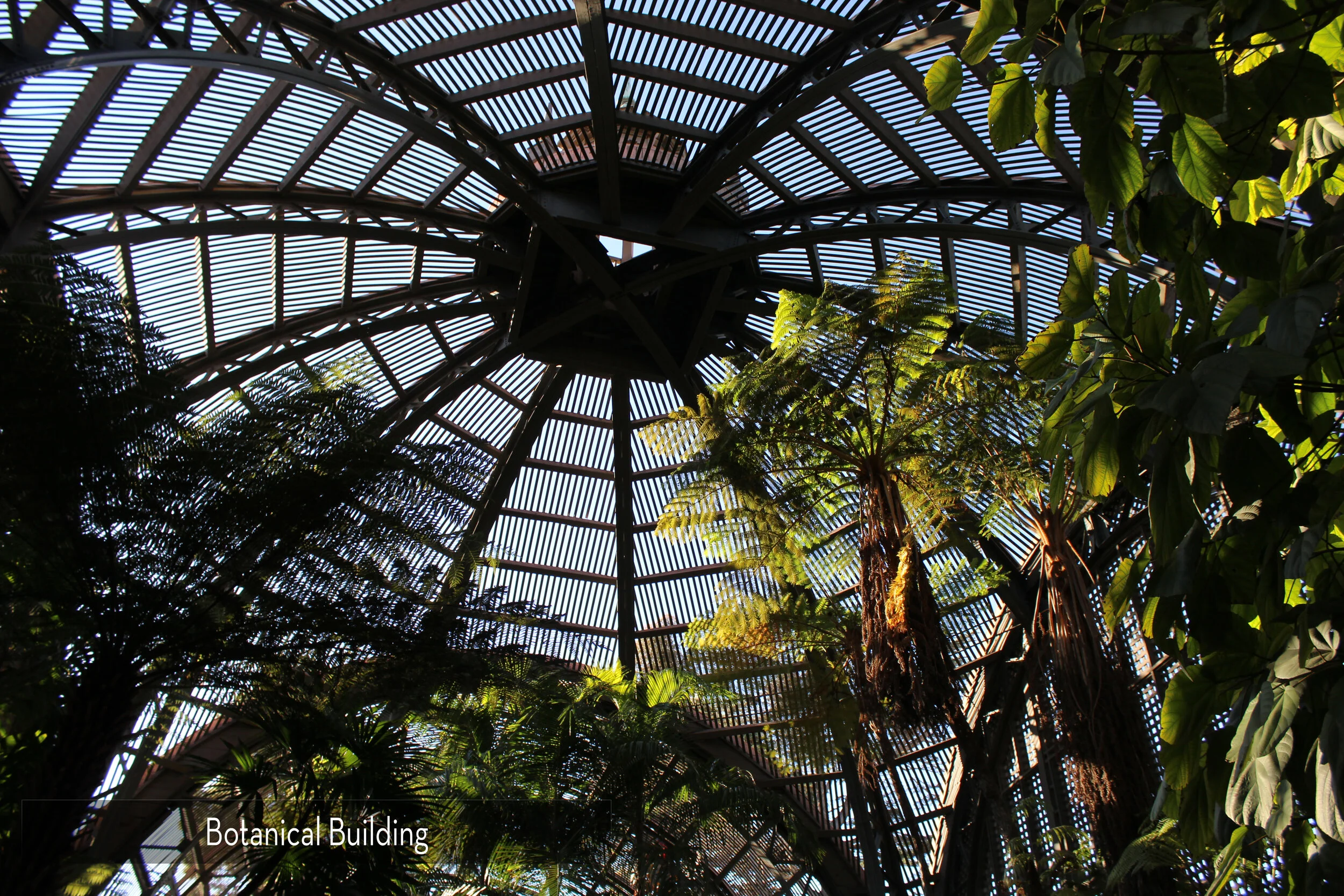 BotanicalBuilding1.jpg