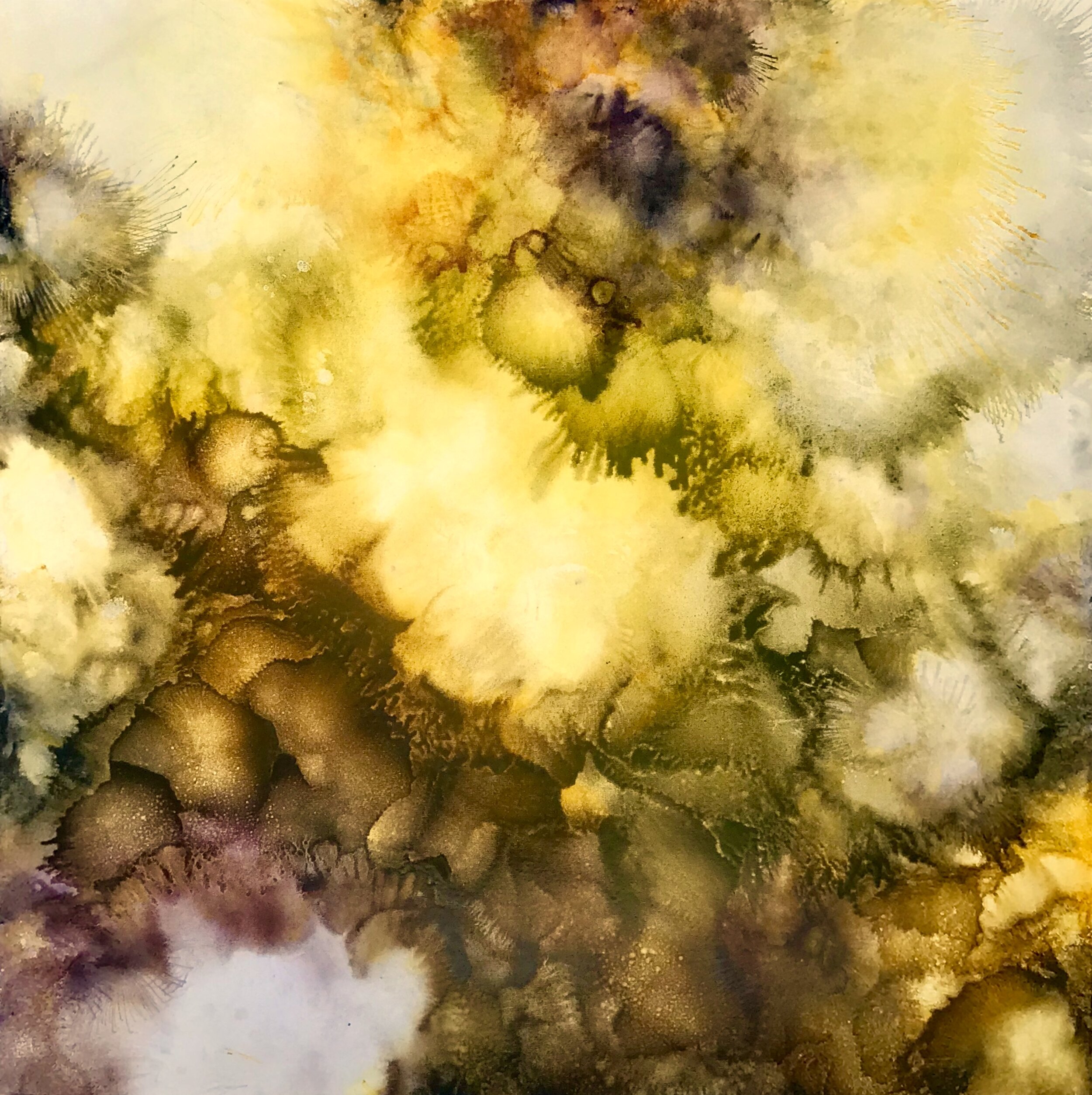 "Topaz Glow" | 48" x 48" | Oil on Canvas
SOLD, Private Collector, South Carolina