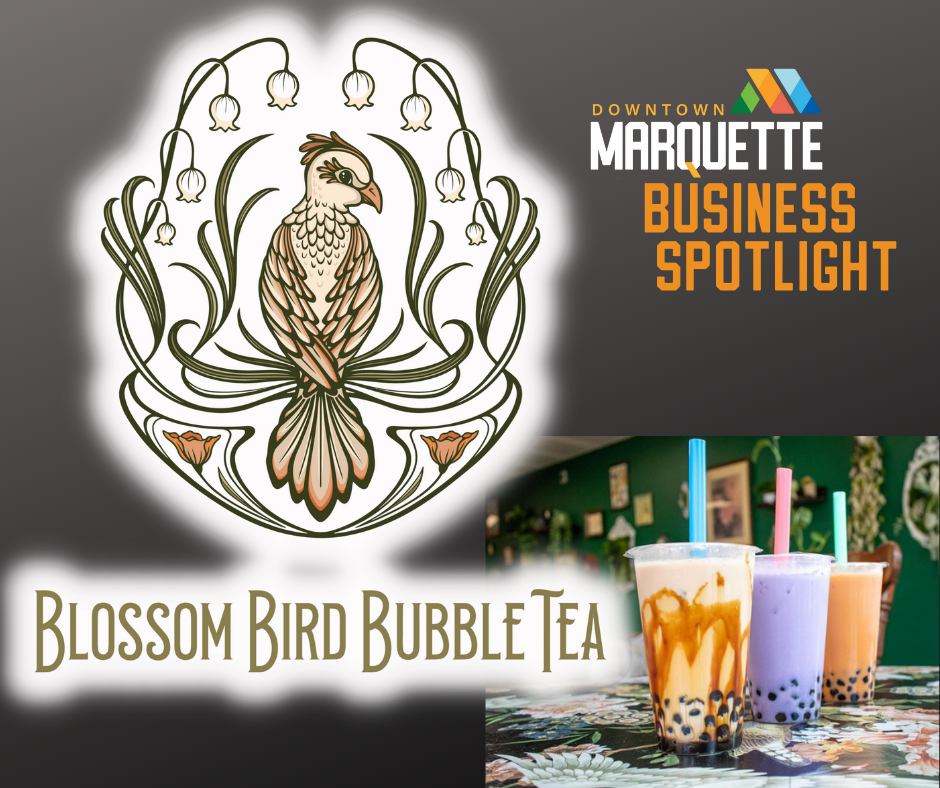 March 2022 Downtown Business Spotlight: Blossom Bird Bubble Tea