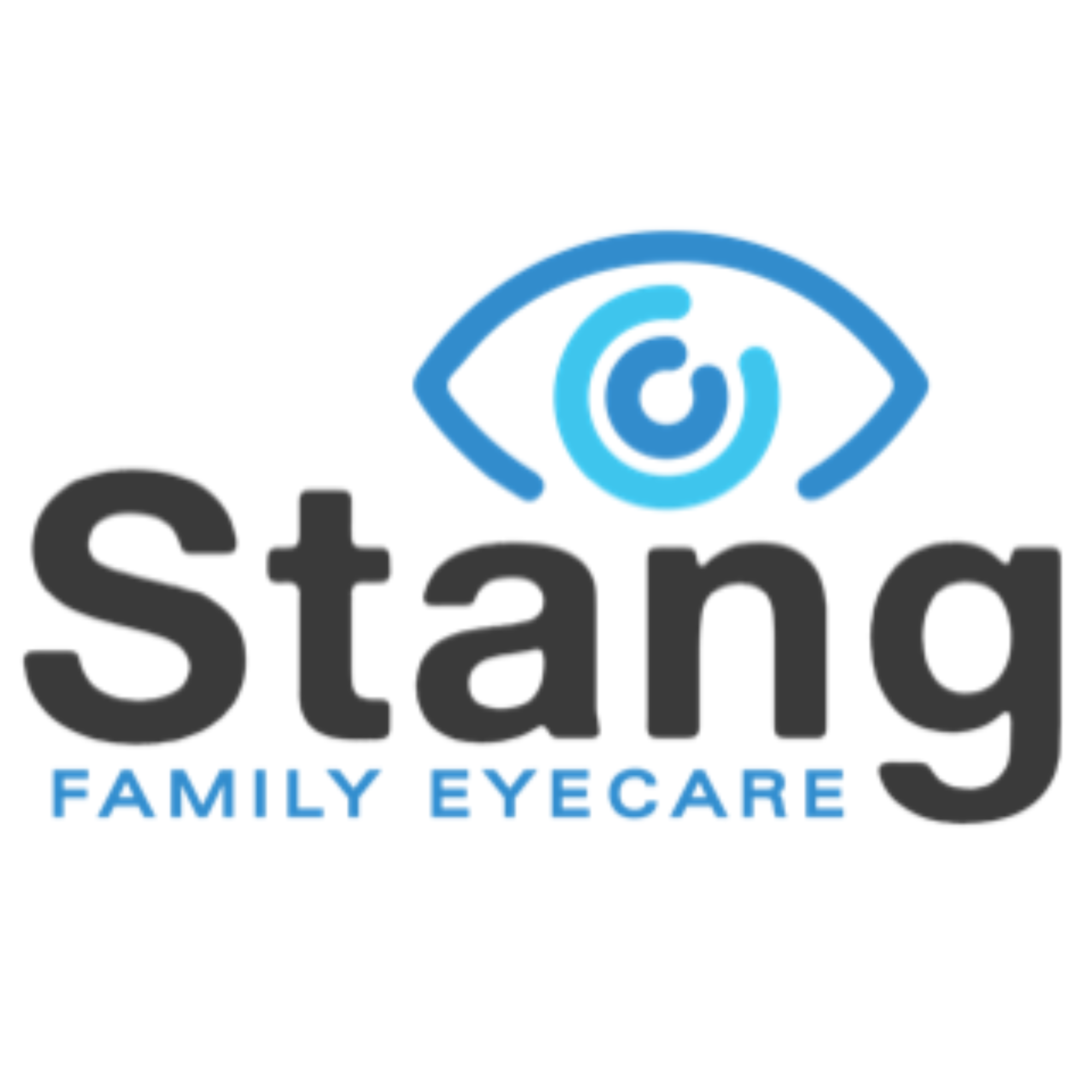 Stang Family Eyecare logo