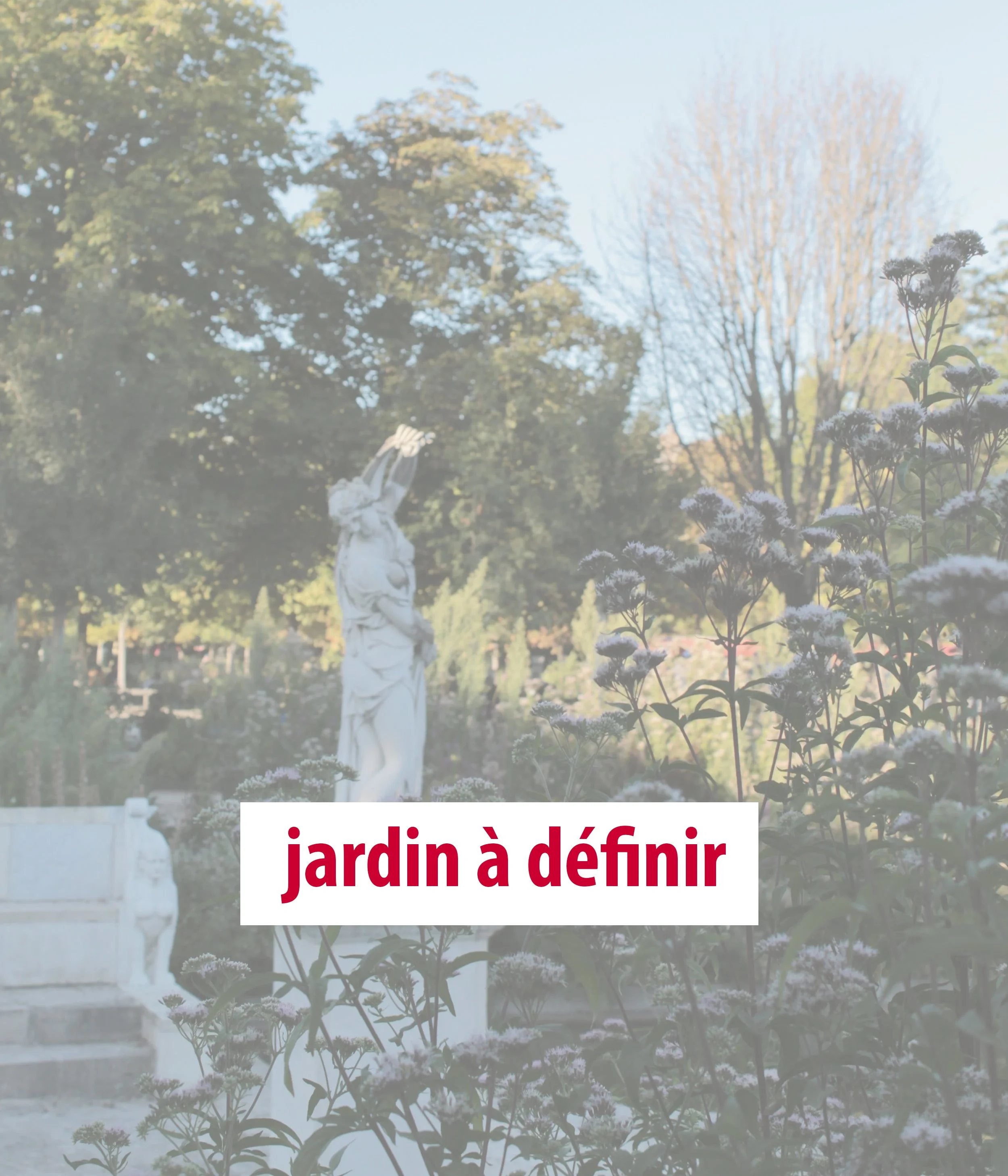 jardin à definir_.jpg (copia)